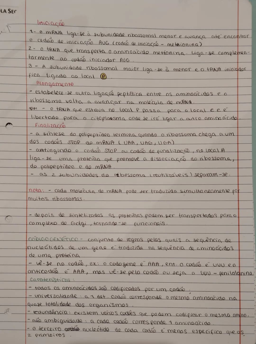 DNA e RNA – página 7