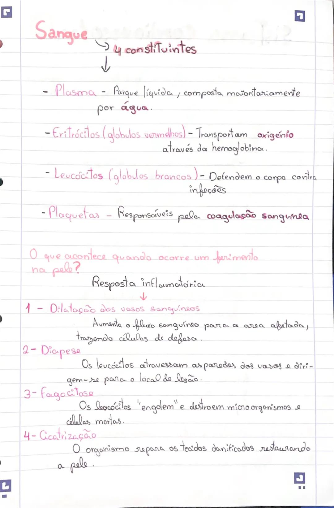 # Sistema Cardiovascular
(Coração - Orgão muscular que bombeia
o sangue
pelo corpo atraves dos vasos sanguíneos..
(Vasos sanguíneos) - 3 t