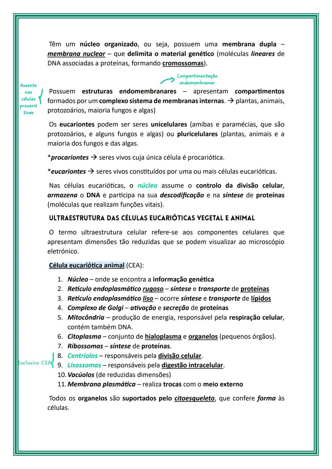 # Células e biomoléculas
Os seres vivos podem ser unicelulares ou multicelulares/pluricelulares, isto é,
serem constituídos por uma única c