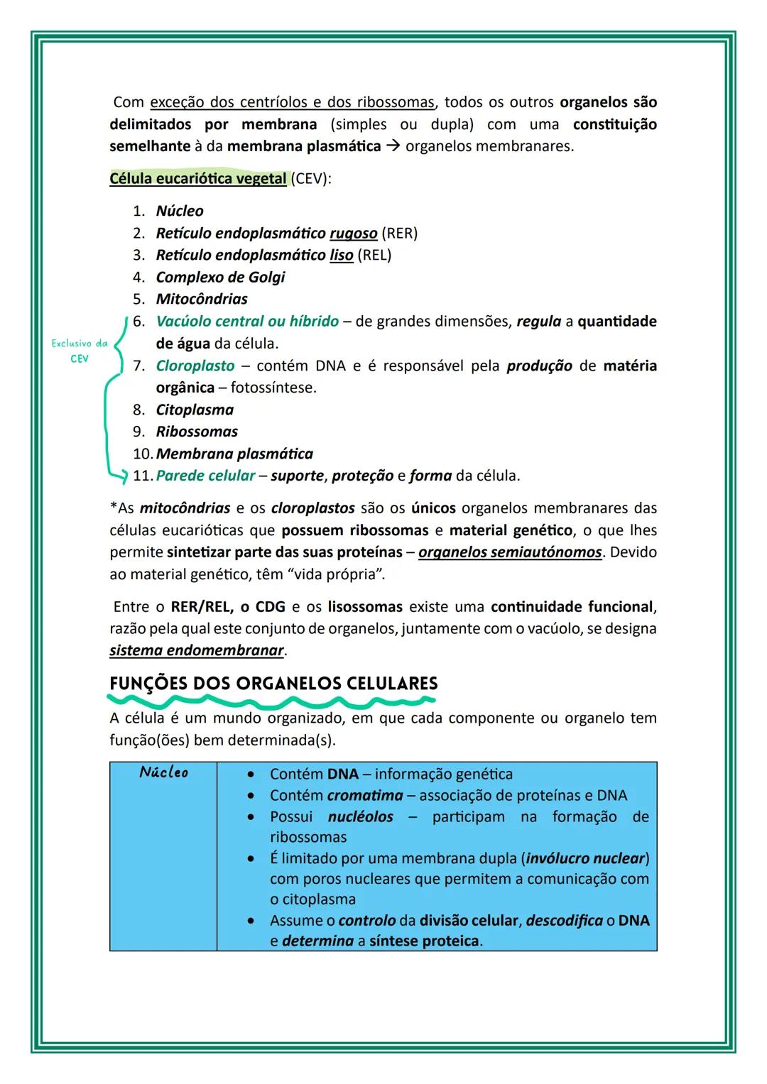 # Células e biomoléculas
Os seres vivos podem ser unicelulares ou multicelulares/pluricelulares, isto é,
serem constituídos por uma única c