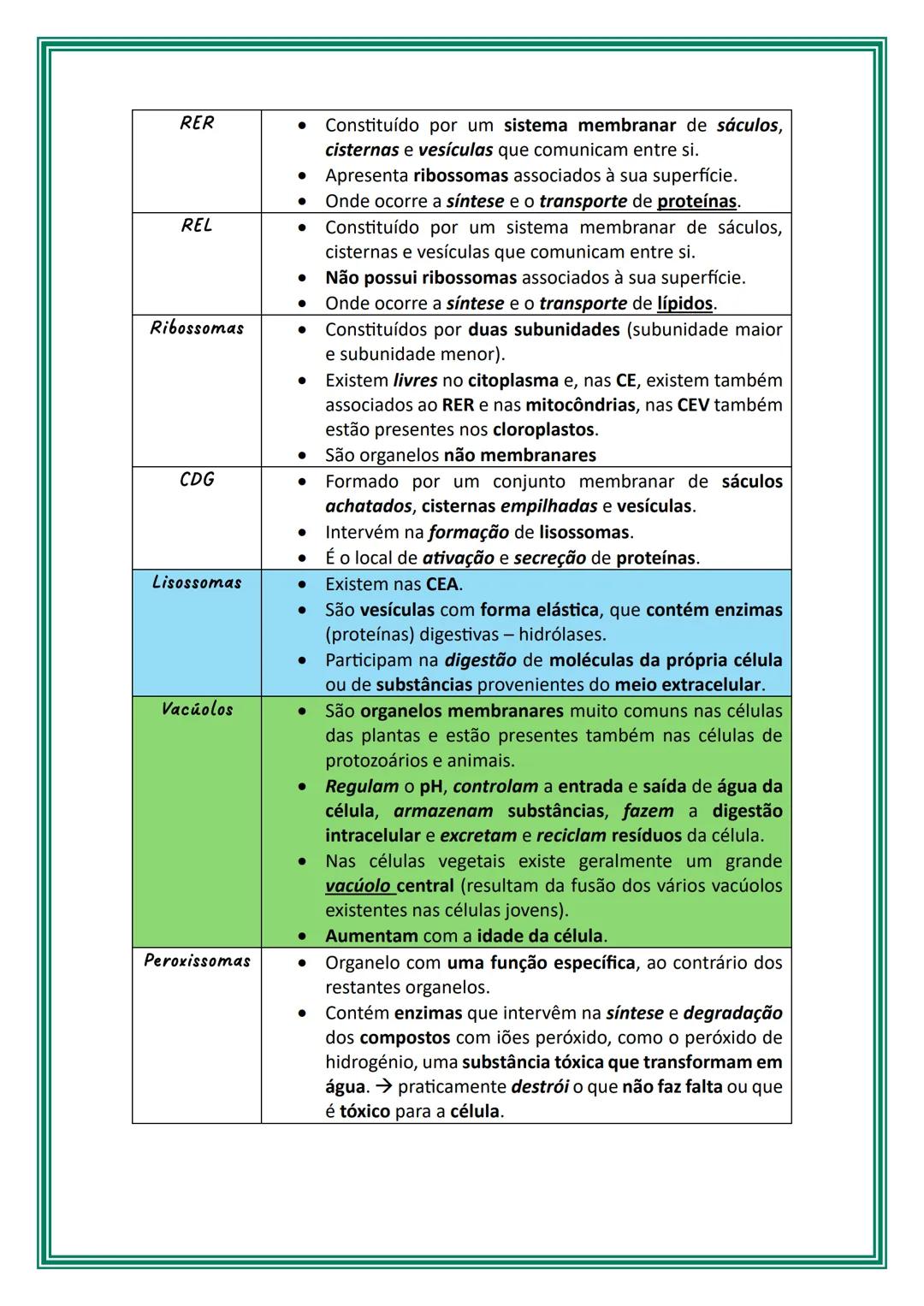 # Células e biomoléculas
Os seres vivos podem ser unicelulares ou multicelulares/pluricelulares, isto é,
serem constituídos por uma única c
