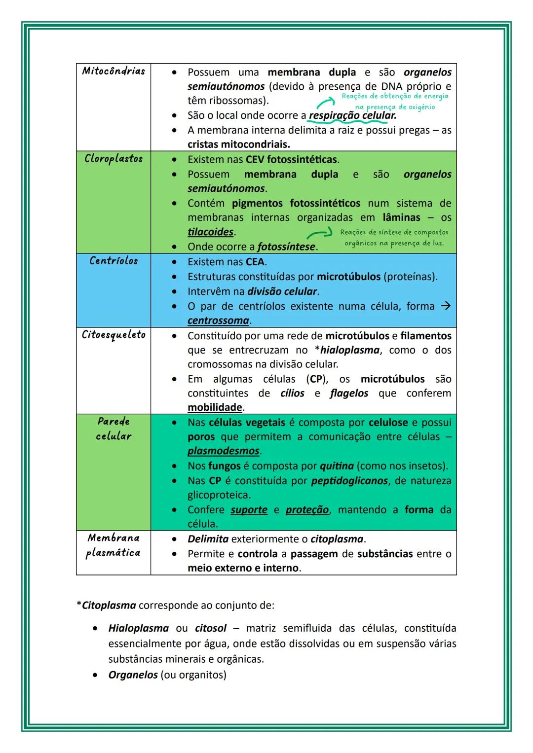 # Células e biomoléculas
Os seres vivos podem ser unicelulares ou multicelulares/pluricelulares, isto é,
serem constituídos por uma única c