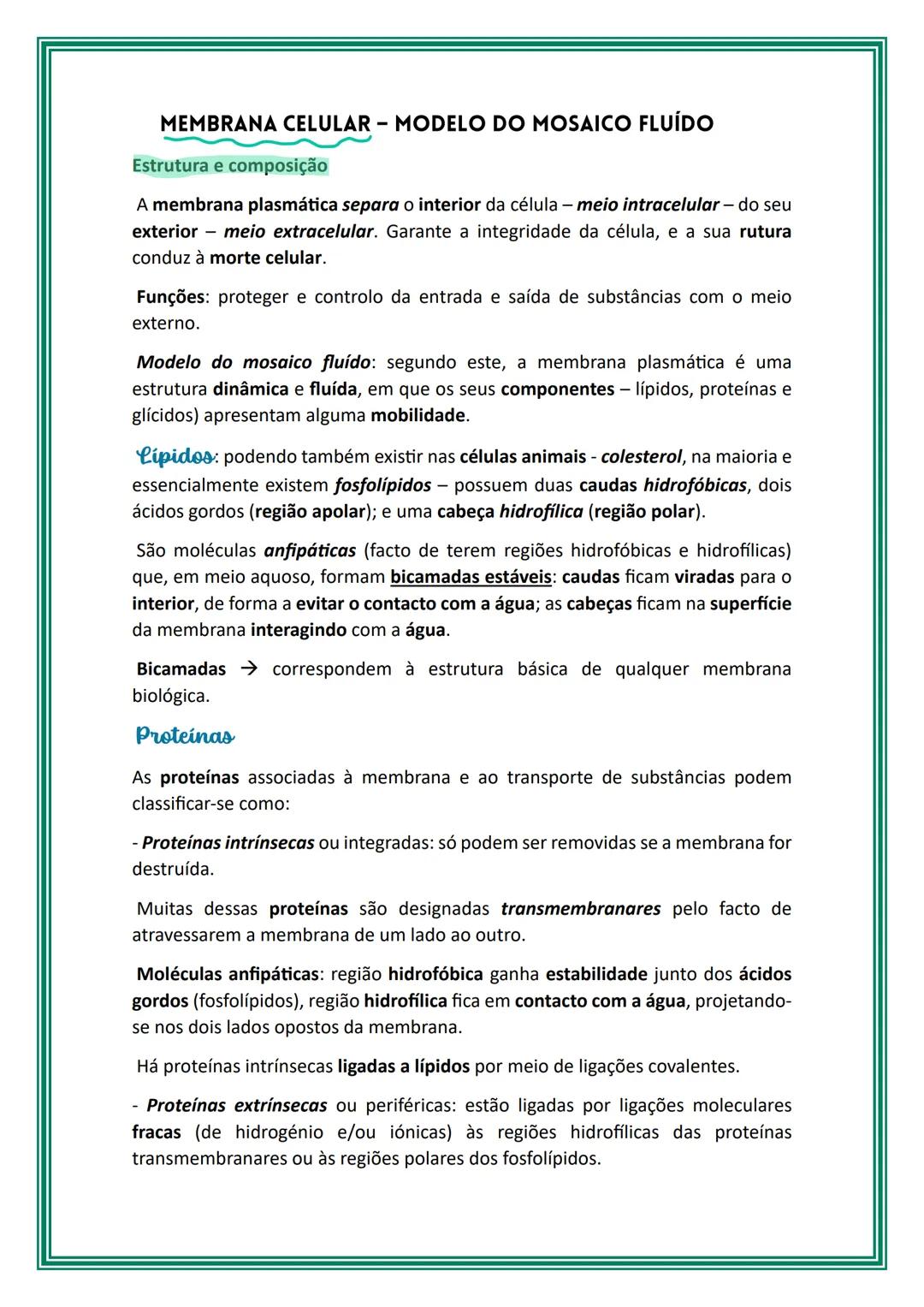 # Células e biomoléculas
Os seres vivos podem ser unicelulares ou multicelulares/pluricelulares, isto é,
serem constituídos por uma única c
