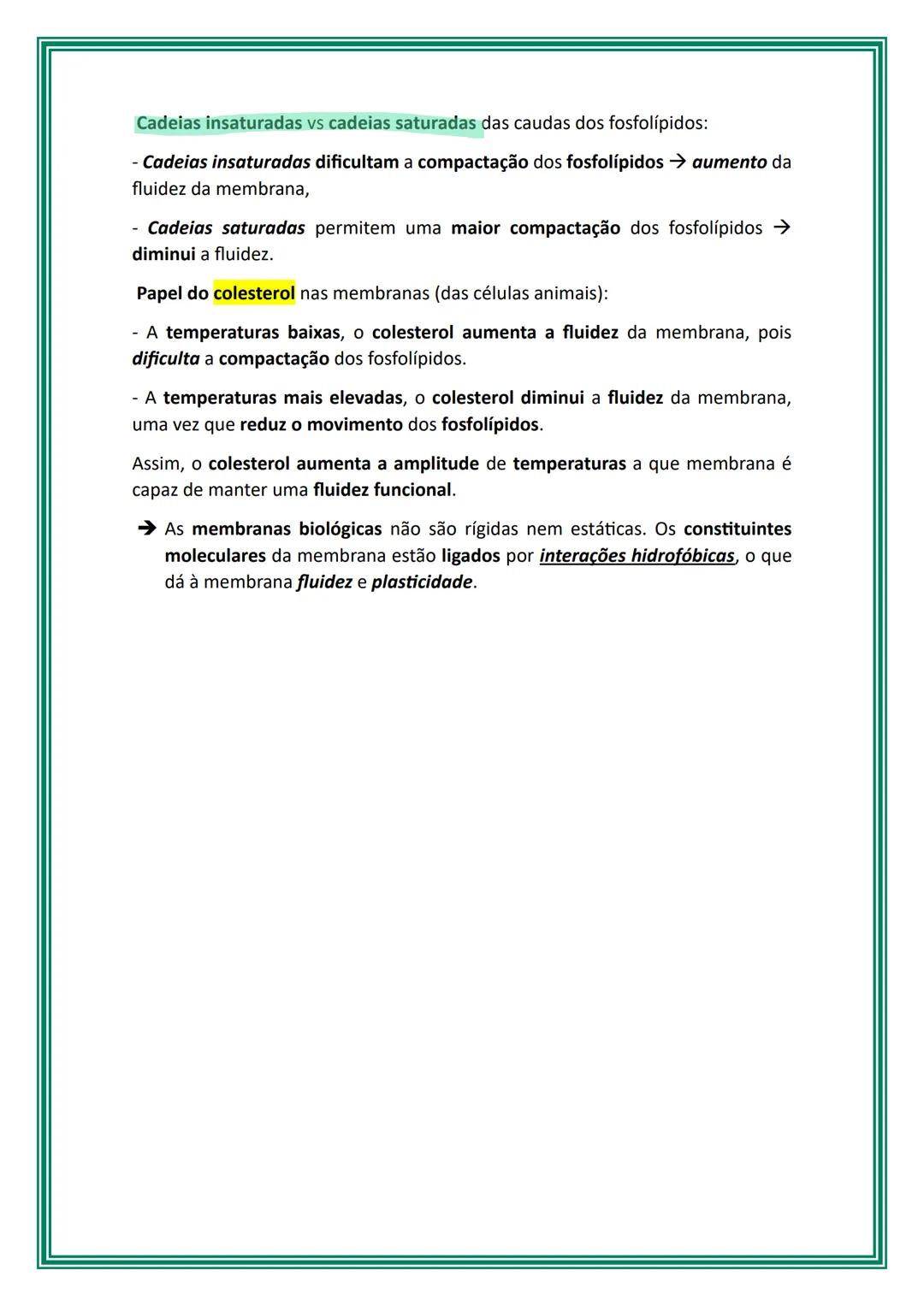 # Células e biomoléculas
Os seres vivos podem ser unicelulares ou multicelulares/pluricelulares, isto é,
serem constituídos por uma única c