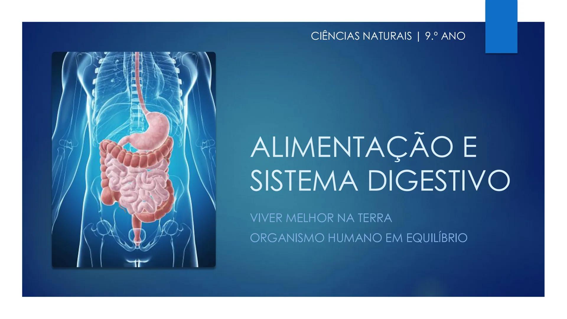 CIÊNCIAS NATURAIS | 9.° ANO
ALIMENTAÇÃO E
SISTEMA DIGESTIVO
VIVER MELHOR NA TERRA
ORGANISMO HUMANO EM EQUILÍBRIO # IMPORTÂNCIA DOS ALIMENT