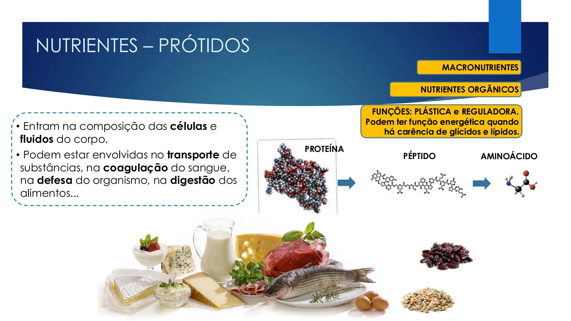 CIÊNCIAS NATURAIS | 9.° ANO
ALIMENTAÇÃO E
SISTEMA DIGESTIVO
VIVER MELHOR NA TERRA
ORGANISMO HUMANO EM EQUILÍBRIO # IMPORTÂNCIA DOS ALIMENT