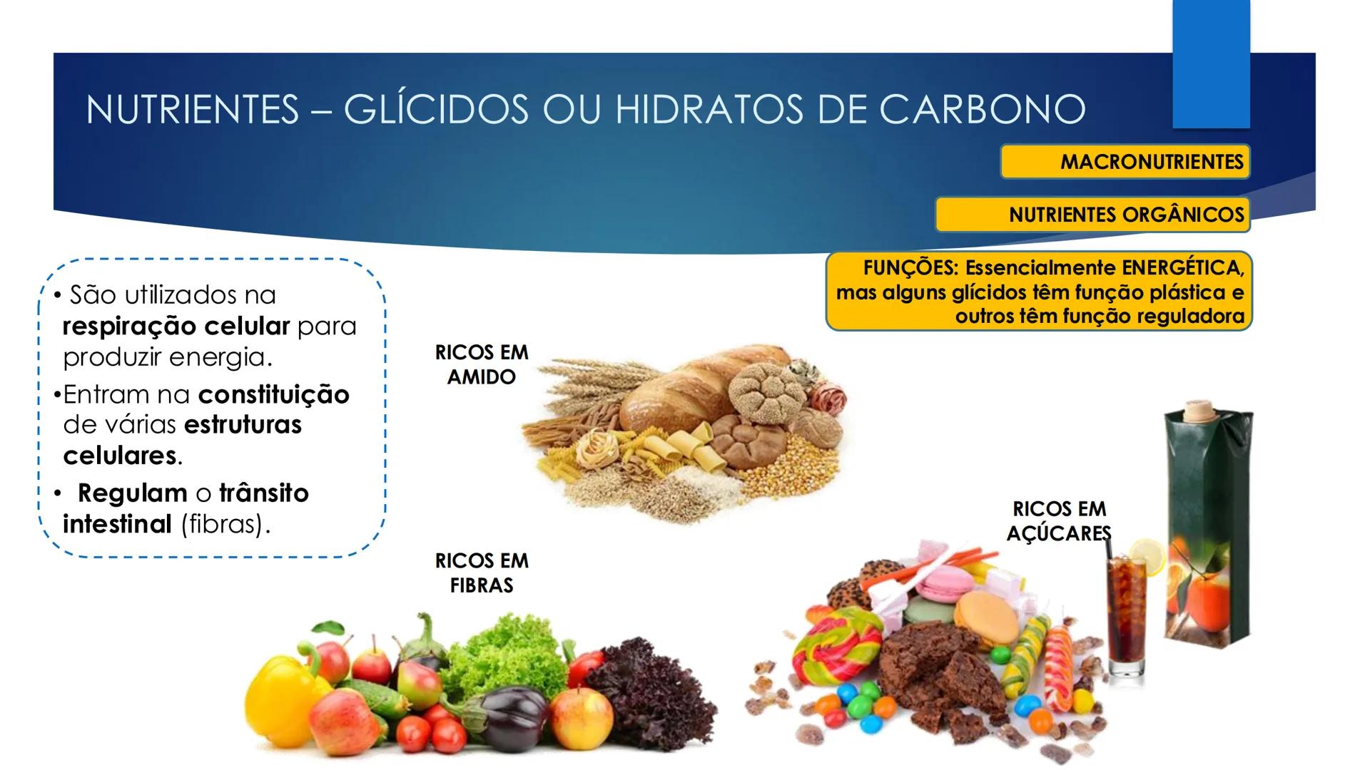 CIÊNCIAS NATURAIS | 9.° ANO
ALIMENTAÇÃO E
SISTEMA DIGESTIVO
VIVER MELHOR NA TERRA
ORGANISMO HUMANO EM EQUILÍBRIO # IMPORTÂNCIA DOS ALIMENT