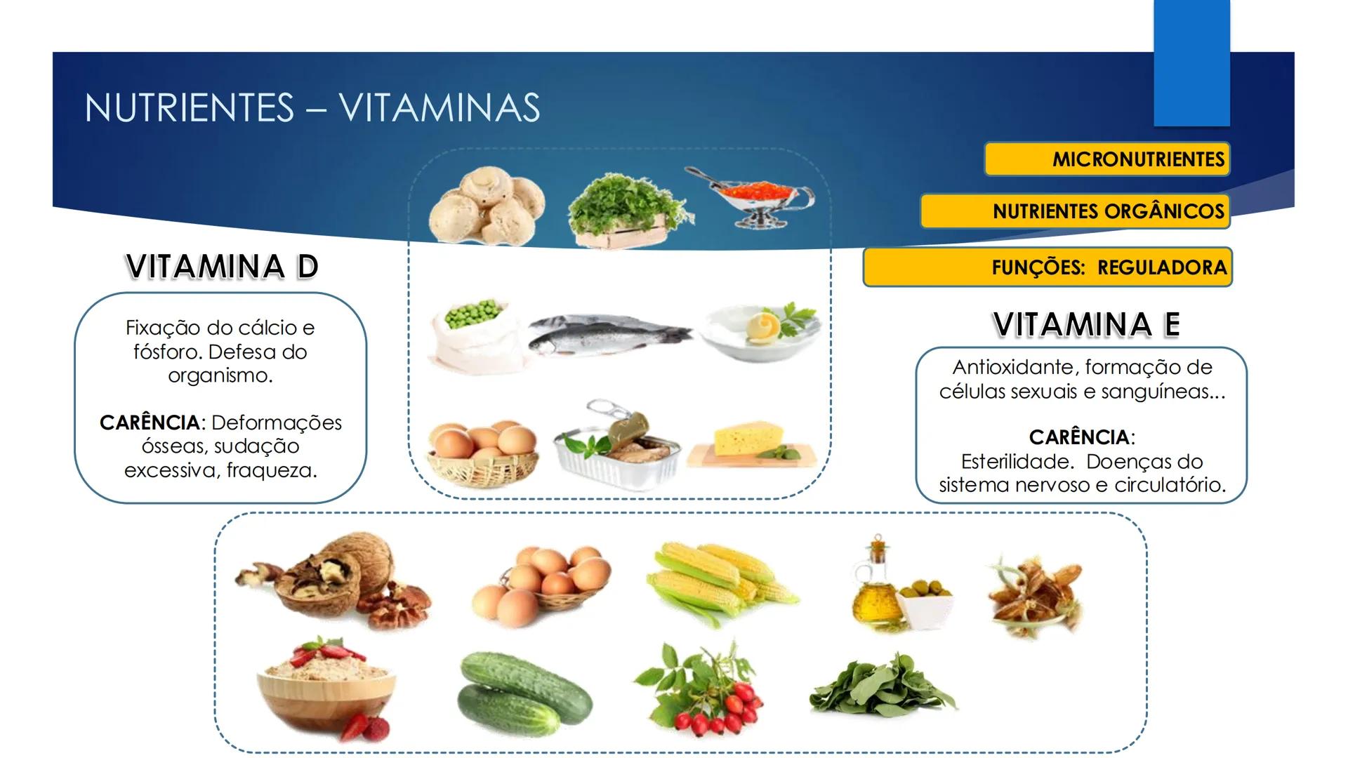 CIÊNCIAS NATURAIS | 9.° ANO
ALIMENTAÇÃO E
SISTEMA DIGESTIVO
VIVER MELHOR NA TERRA
ORGANISMO HUMANO EM EQUILÍBRIO # IMPORTÂNCIA DOS ALIMENT