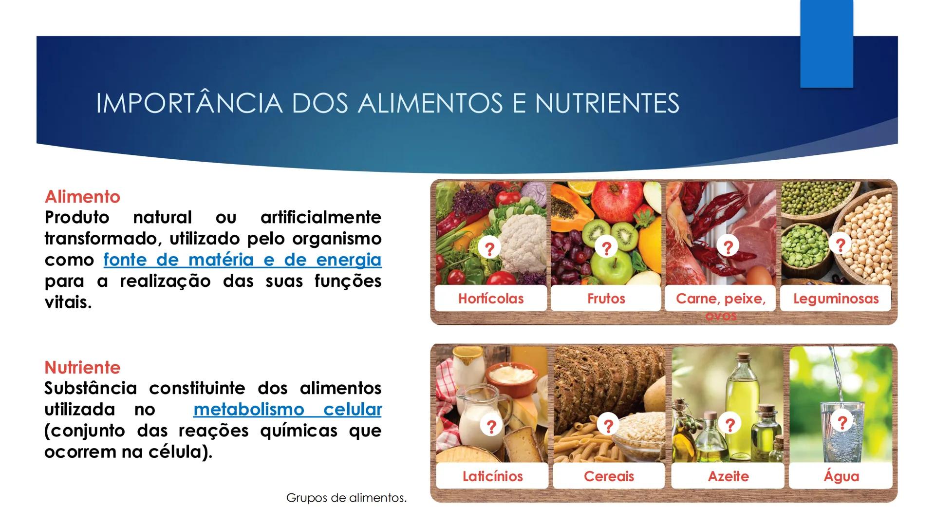 CIÊNCIAS NATURAIS | 9.° ANO
ALIMENTAÇÃO E
SISTEMA DIGESTIVO
VIVER MELHOR NA TERRA
ORGANISMO HUMANO EM EQUILÍBRIO # IMPORTÂNCIA DOS ALIMENT