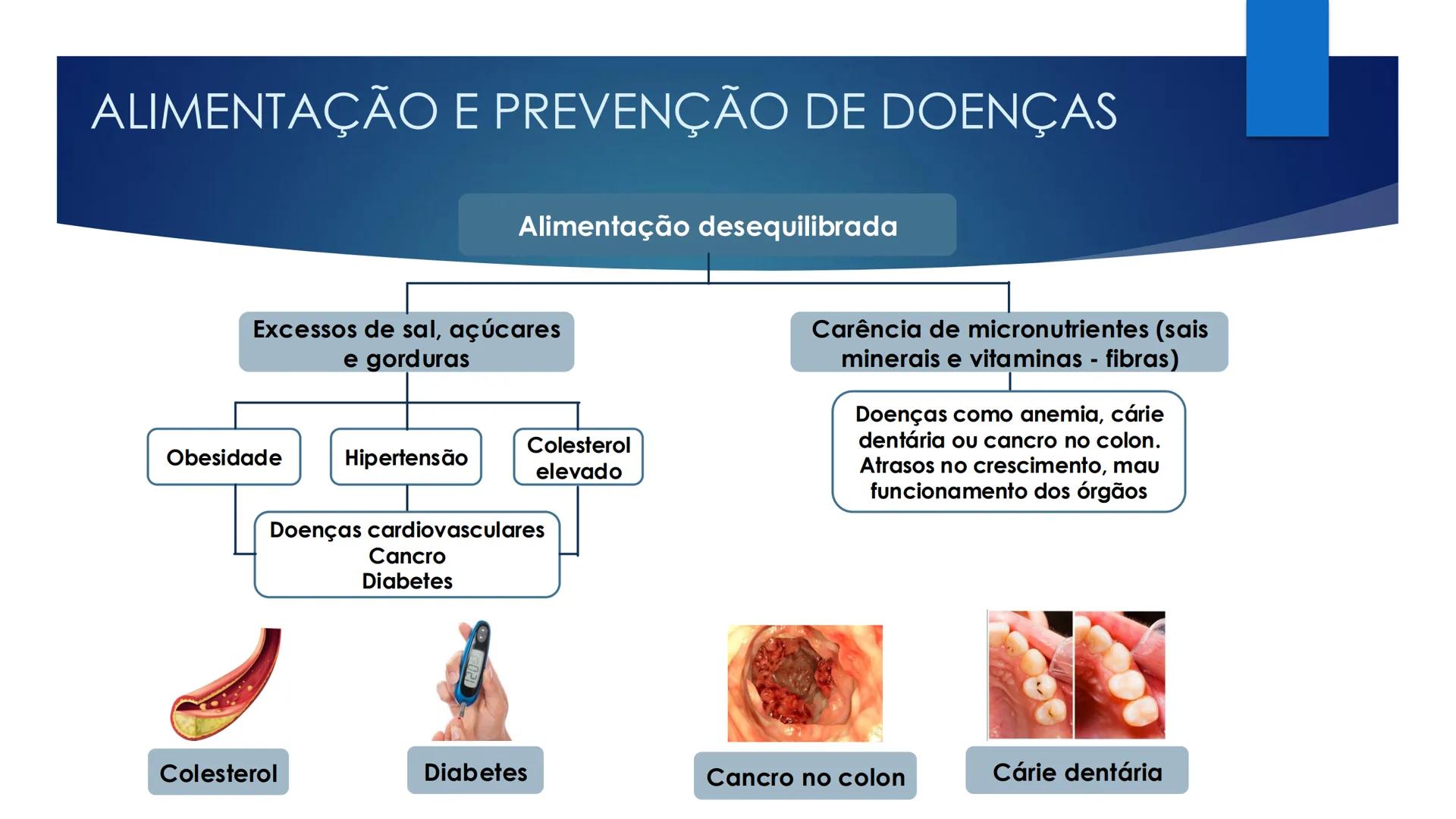 CIÊNCIAS NATURAIS | 9.° ANO
ALIMENTAÇÃO E
SISTEMA DIGESTIVO
VIVER MELHOR NA TERRA
ORGANISMO HUMANO EM EQUILÍBRIO # IMPORTÂNCIA DOS ALIMENT