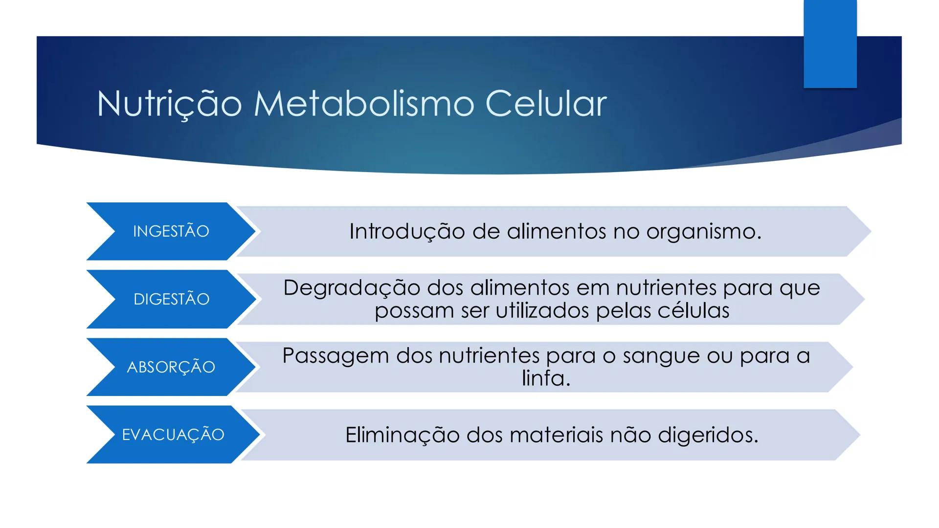 CIÊNCIAS NATURAIS | 9.° ANO
ALIMENTAÇÃO E
SISTEMA DIGESTIVO
VIVER MELHOR NA TERRA
ORGANISMO HUMANO EM EQUILÍBRIO # IMPORTÂNCIA DOS ALIMENT