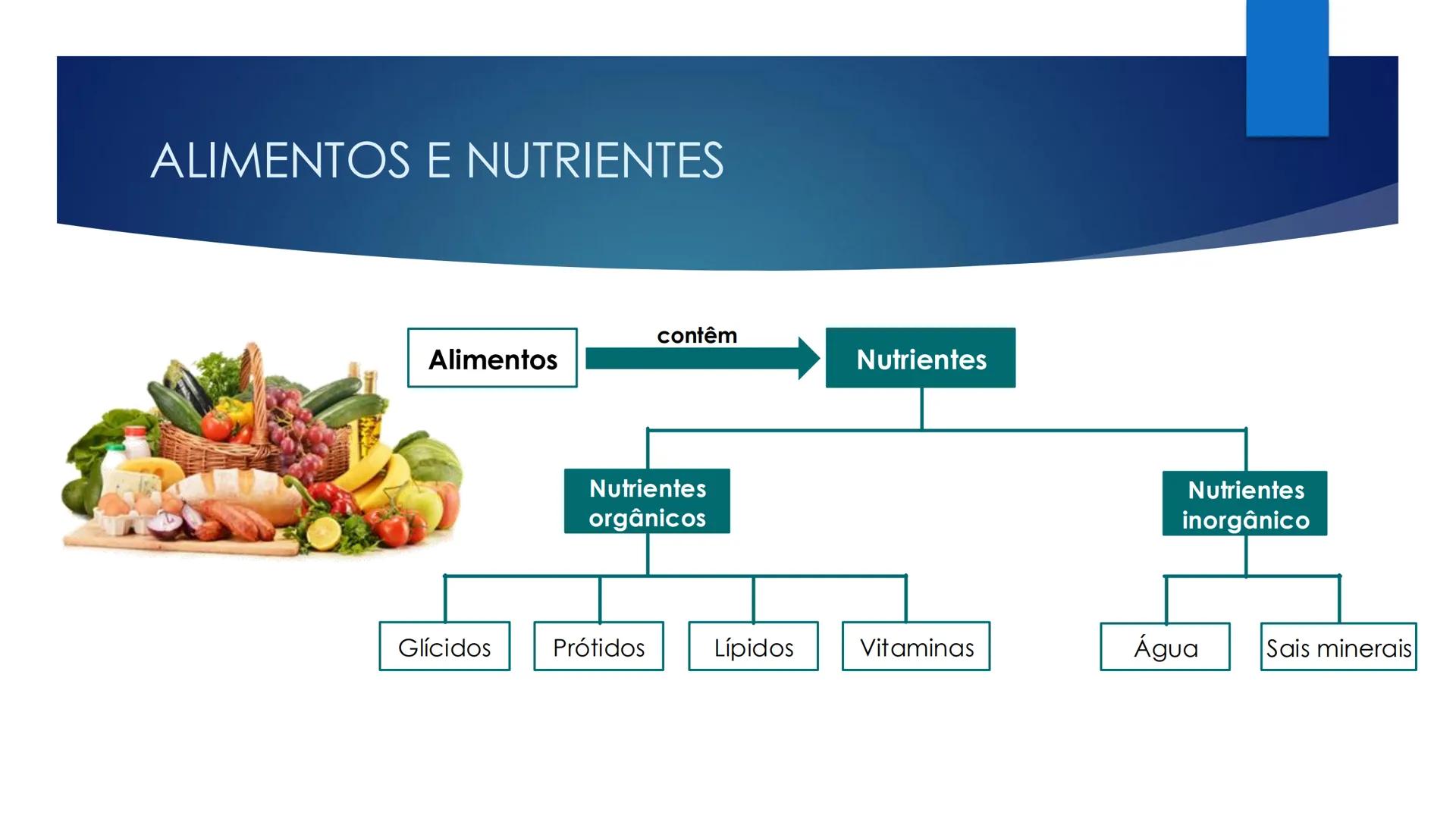 CIÊNCIAS NATURAIS | 9.° ANO
ALIMENTAÇÃO E
SISTEMA DIGESTIVO
VIVER MELHOR NA TERRA
ORGANISMO HUMANO EM EQUILÍBRIO # IMPORTÂNCIA DOS ALIMENT