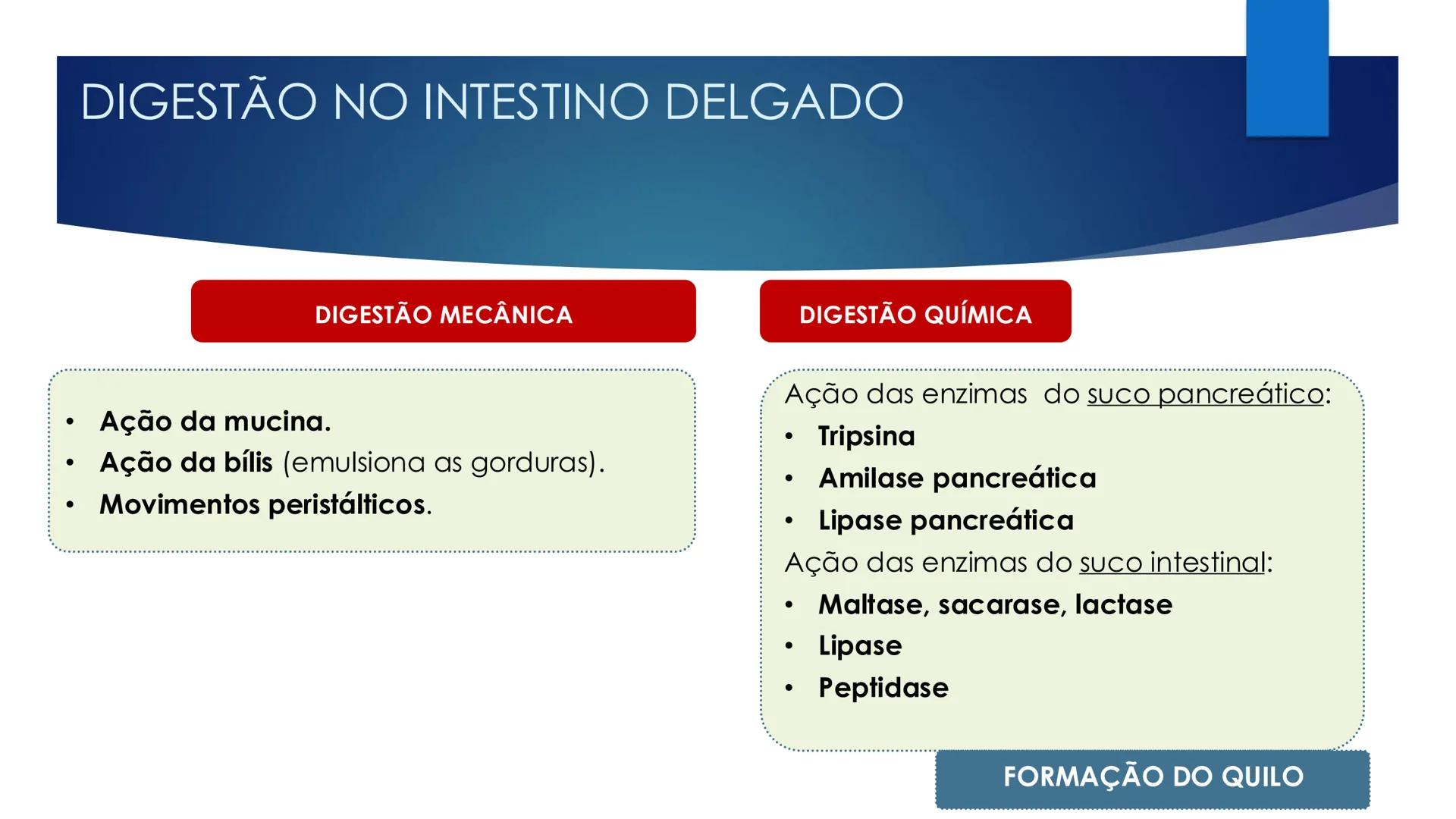 CIÊNCIAS NATURAIS | 9.° ANO
ALIMENTAÇÃO E
SISTEMA DIGESTIVO
VIVER MELHOR NA TERRA
ORGANISMO HUMANO EM EQUILÍBRIO # IMPORTÂNCIA DOS ALIMENT