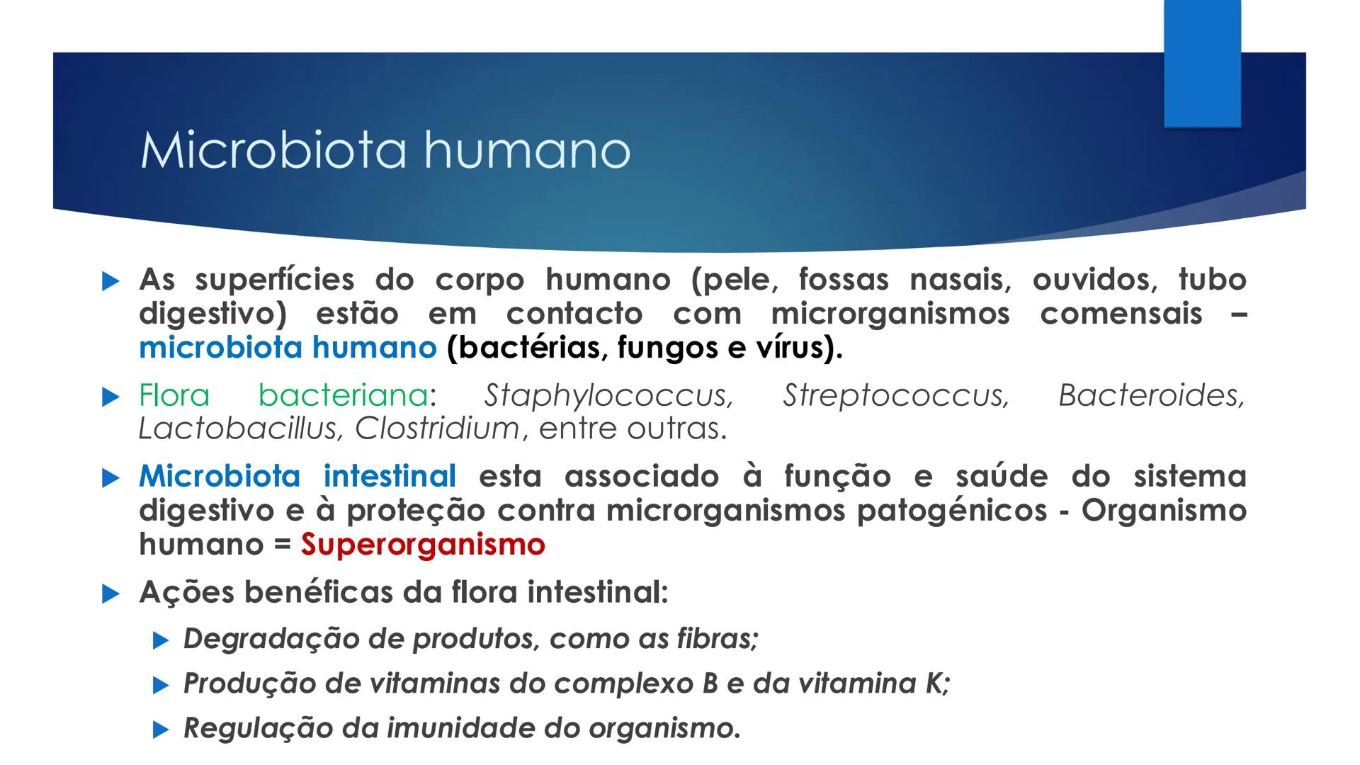 CIÊNCIAS NATURAIS | 9.° ANO
ALIMENTAÇÃO E
SISTEMA DIGESTIVO
VIVER MELHOR NA TERRA
ORGANISMO HUMANO EM EQUILÍBRIO # IMPORTÂNCIA DOS ALIMENT