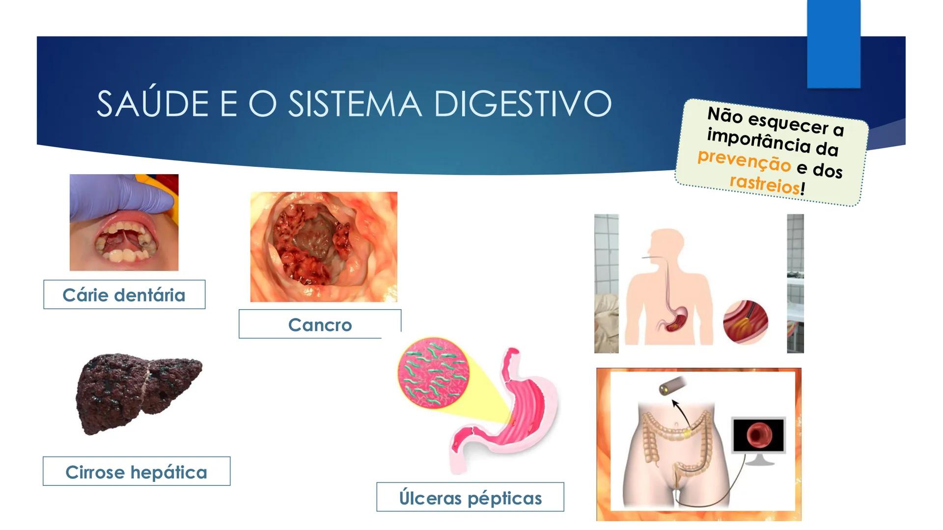 CIÊNCIAS NATURAIS | 9.° ANO
ALIMENTAÇÃO E
SISTEMA DIGESTIVO
VIVER MELHOR NA TERRA
ORGANISMO HUMANO EM EQUILÍBRIO # IMPORTÂNCIA DOS ALIMENT