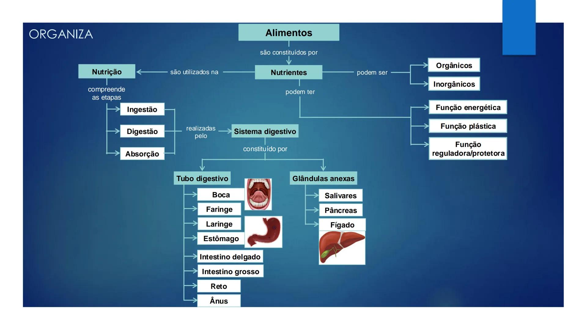 CIÊNCIAS NATURAIS | 9.° ANO
ALIMENTAÇÃO E
SISTEMA DIGESTIVO
VIVER MELHOR NA TERRA
ORGANISMO HUMANO EM EQUILÍBRIO # IMPORTÂNCIA DOS ALIMENT