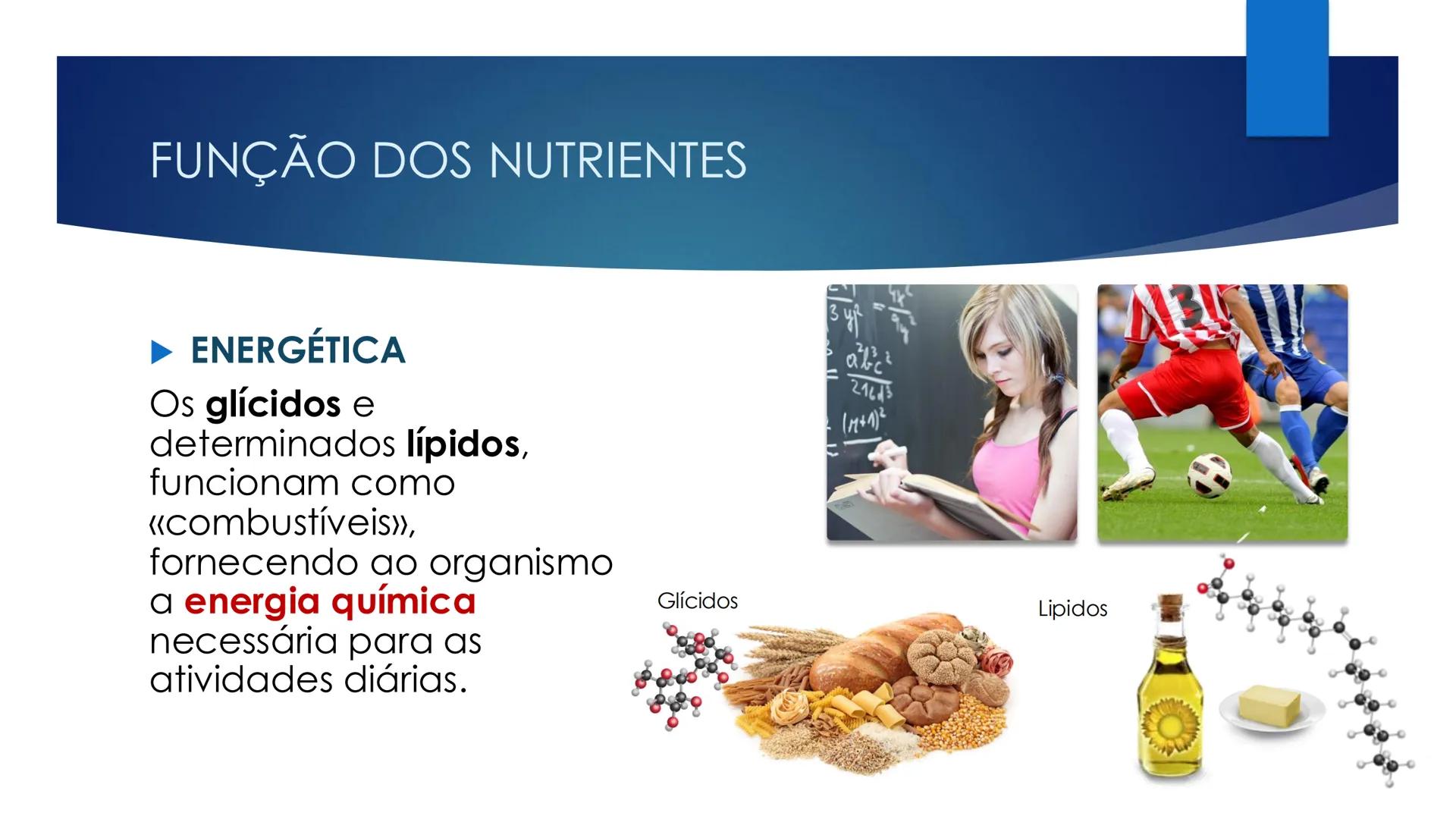 CIÊNCIAS NATURAIS | 9.° ANO
ALIMENTAÇÃO E
SISTEMA DIGESTIVO
VIVER MELHOR NA TERRA
ORGANISMO HUMANO EM EQUILÍBRIO # IMPORTÂNCIA DOS ALIMENT