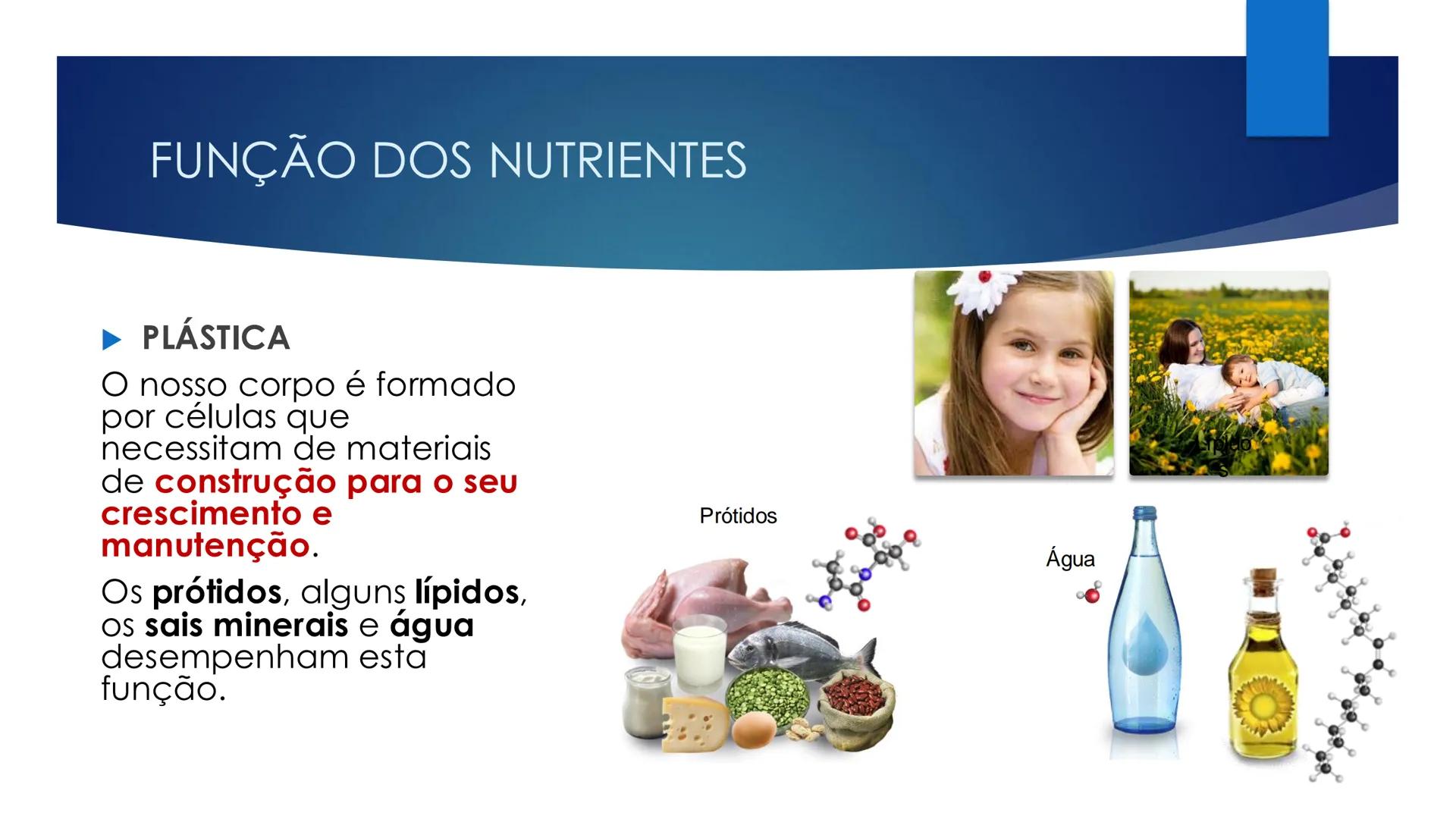 CIÊNCIAS NATURAIS | 9.° ANO
ALIMENTAÇÃO E
SISTEMA DIGESTIVO
VIVER MELHOR NA TERRA
ORGANISMO HUMANO EM EQUILÍBRIO # IMPORTÂNCIA DOS ALIMENT