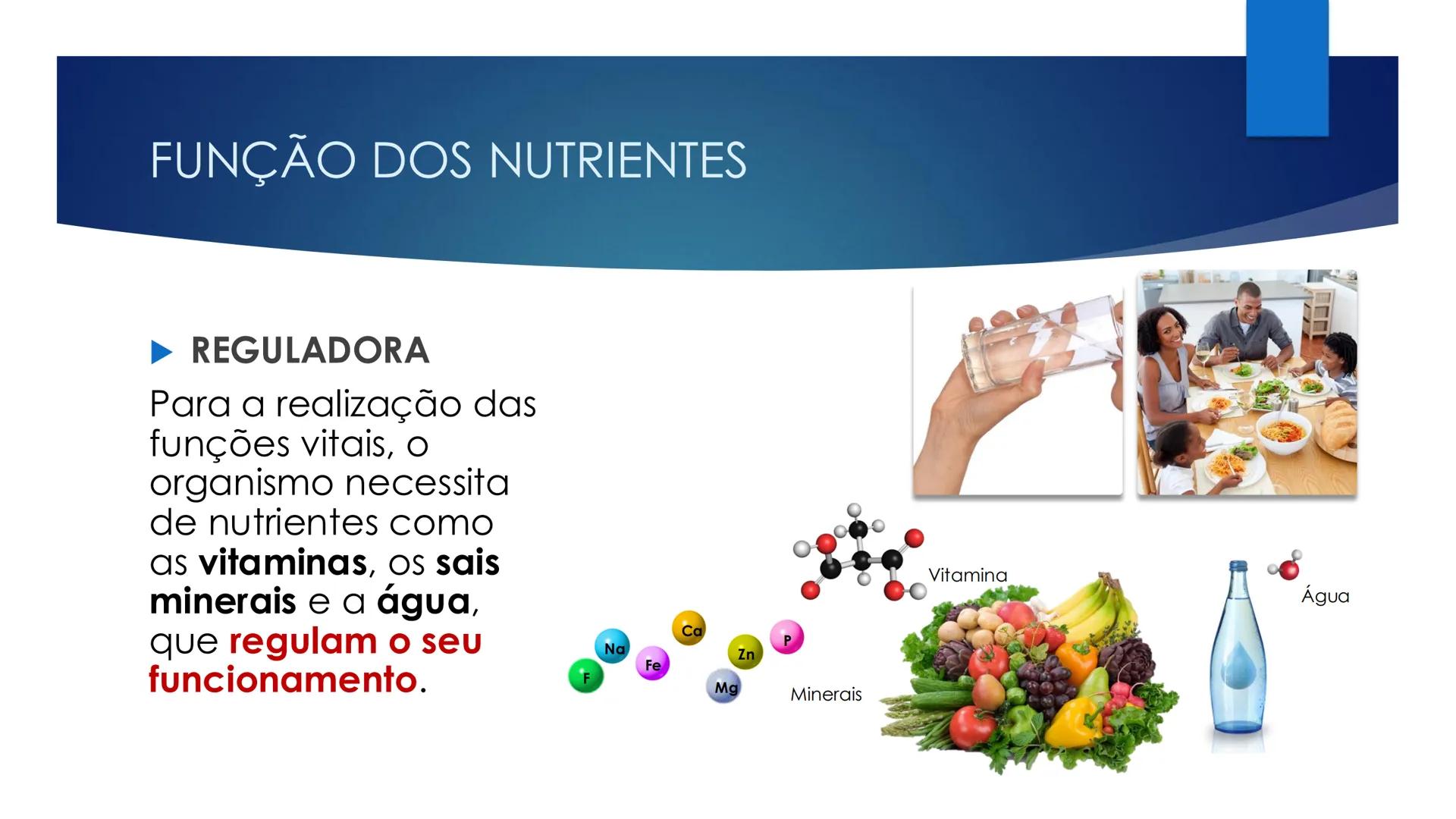 CIÊNCIAS NATURAIS | 9.° ANO
ALIMENTAÇÃO E
SISTEMA DIGESTIVO
VIVER MELHOR NA TERRA
ORGANISMO HUMANO EM EQUILÍBRIO # IMPORTÂNCIA DOS ALIMENT