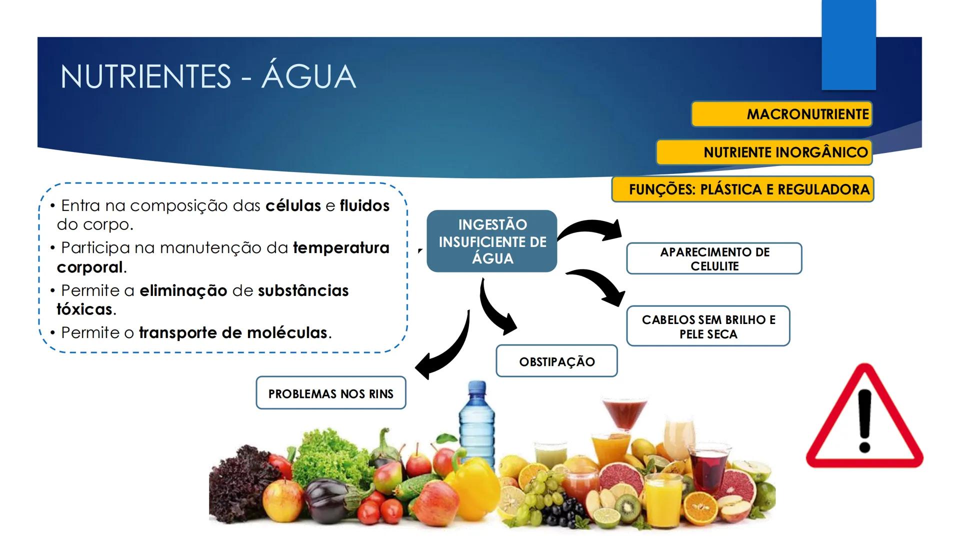 CIÊNCIAS NATURAIS | 9.° ANO
ALIMENTAÇÃO E
SISTEMA DIGESTIVO
VIVER MELHOR NA TERRA
ORGANISMO HUMANO EM EQUILÍBRIO # IMPORTÂNCIA DOS ALIMENT