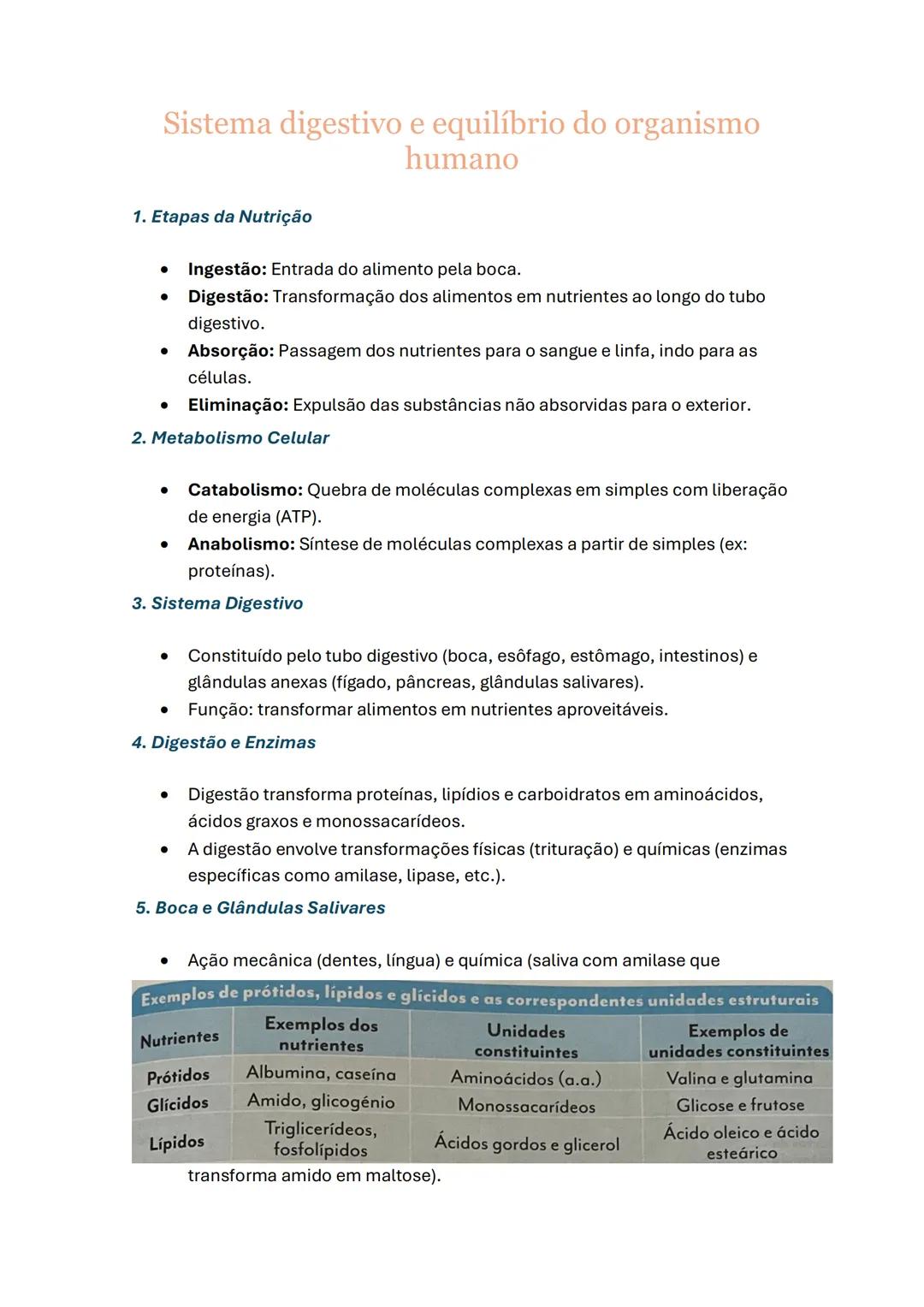 Sistema digestivo e equilíbrio do organismo
humano
1. Etapas da Nutrição
- Ingestão: Entrada do alimento pela boca.
- Digestão: Transformaçã