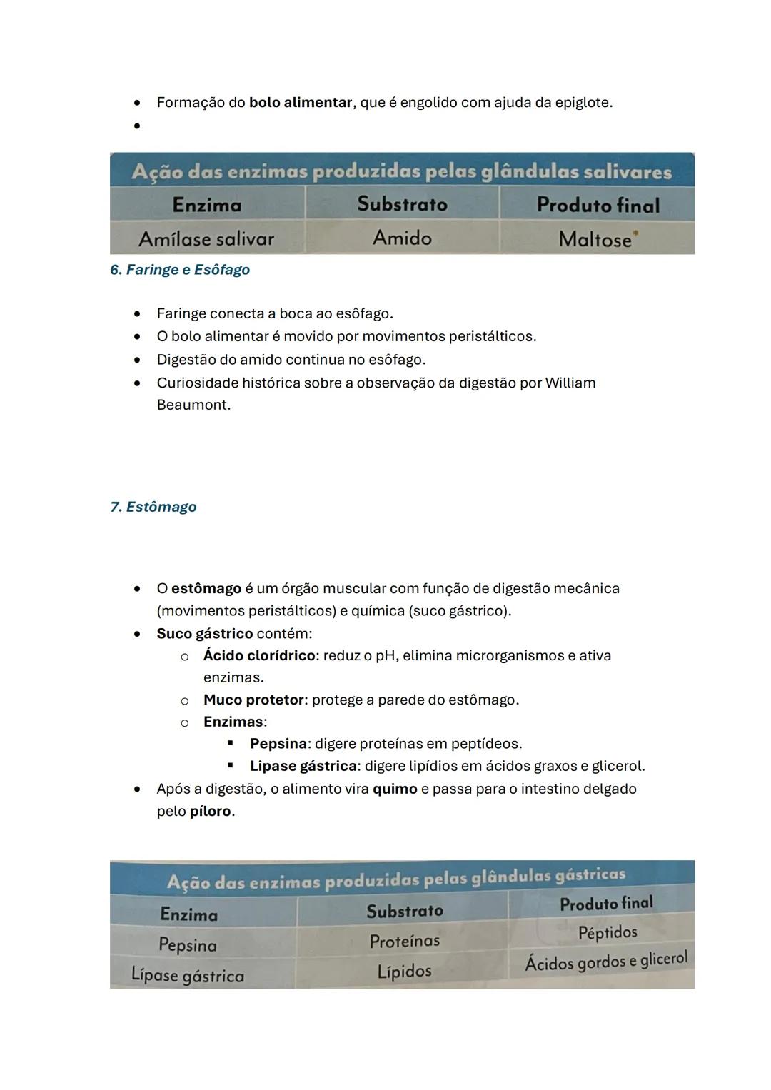Sistema digestivo e equilíbrio do organismo
humano
1. Etapas da Nutrição
- Ingestão: Entrada do alimento pela boca.
- Digestão: Transformaçã