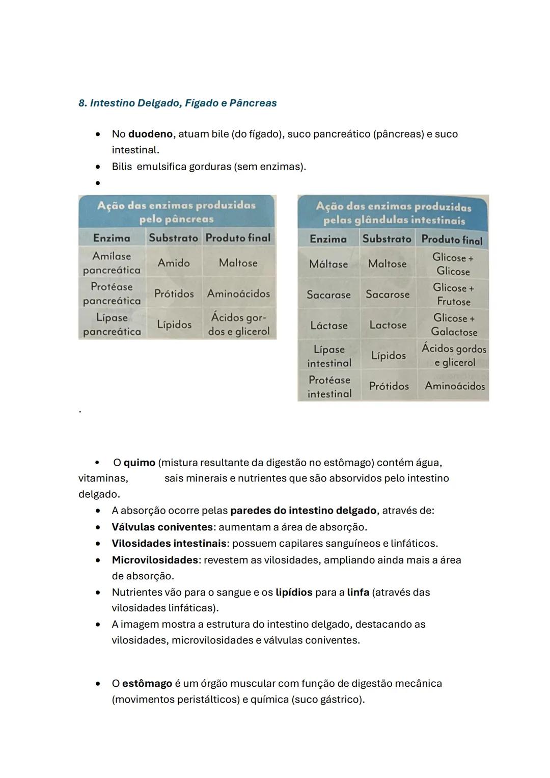 Sistema digestivo e equilíbrio do organismo
humano
1. Etapas da Nutrição
- Ingestão: Entrada do alimento pela boca.
- Digestão: Transformaçã