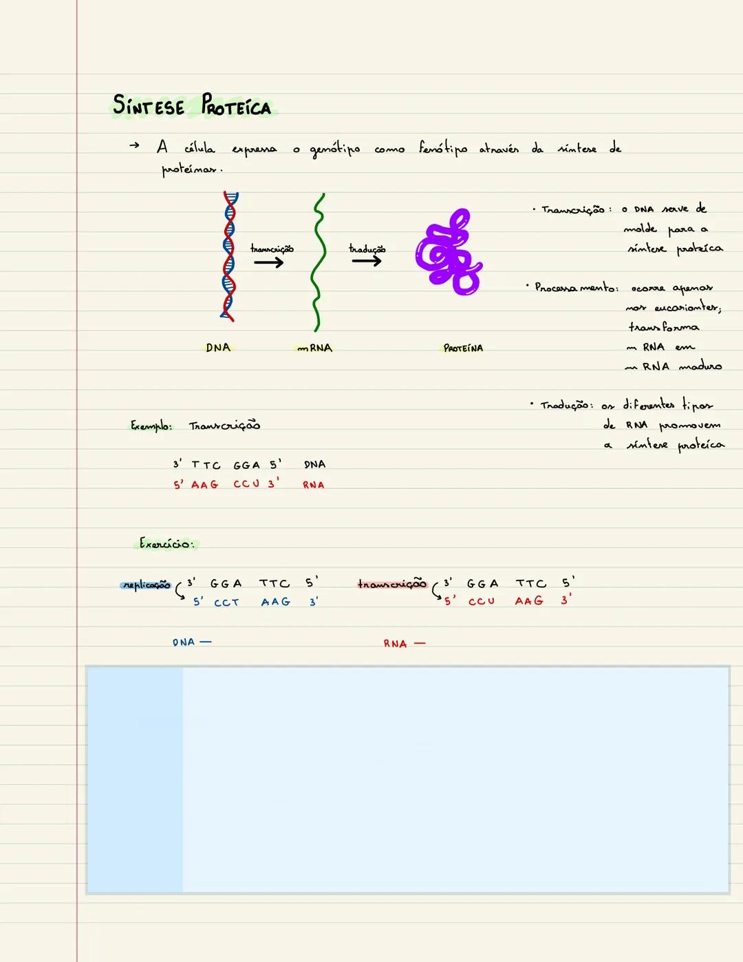 SINTESE PROTEICA
→ A célula expressa o genótipo como fenótipo através da síntese de
proteímar.
transcrição
tradução
←
DNA
mRNA
PROTEINA
Exem