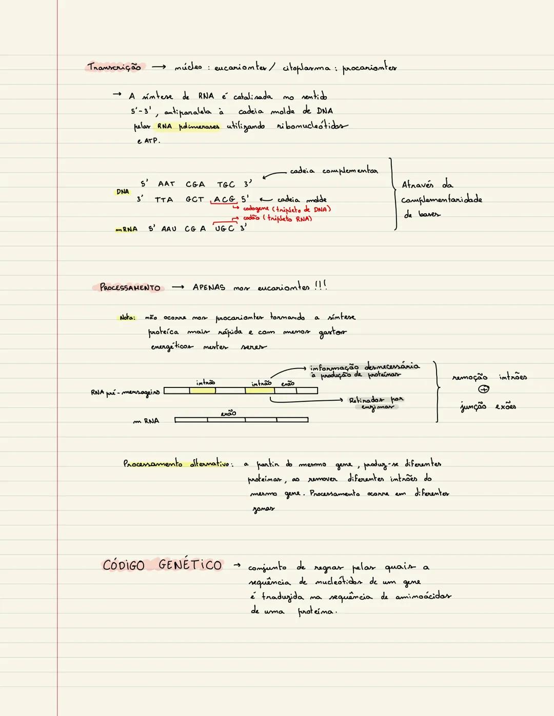SINTESE PROTEICA
→ A célula expressa o genótipo como fenótipo através da síntese de
proteímar.
transcrição
tradução
←
DNA
mRNA
PROTEINA
Exem