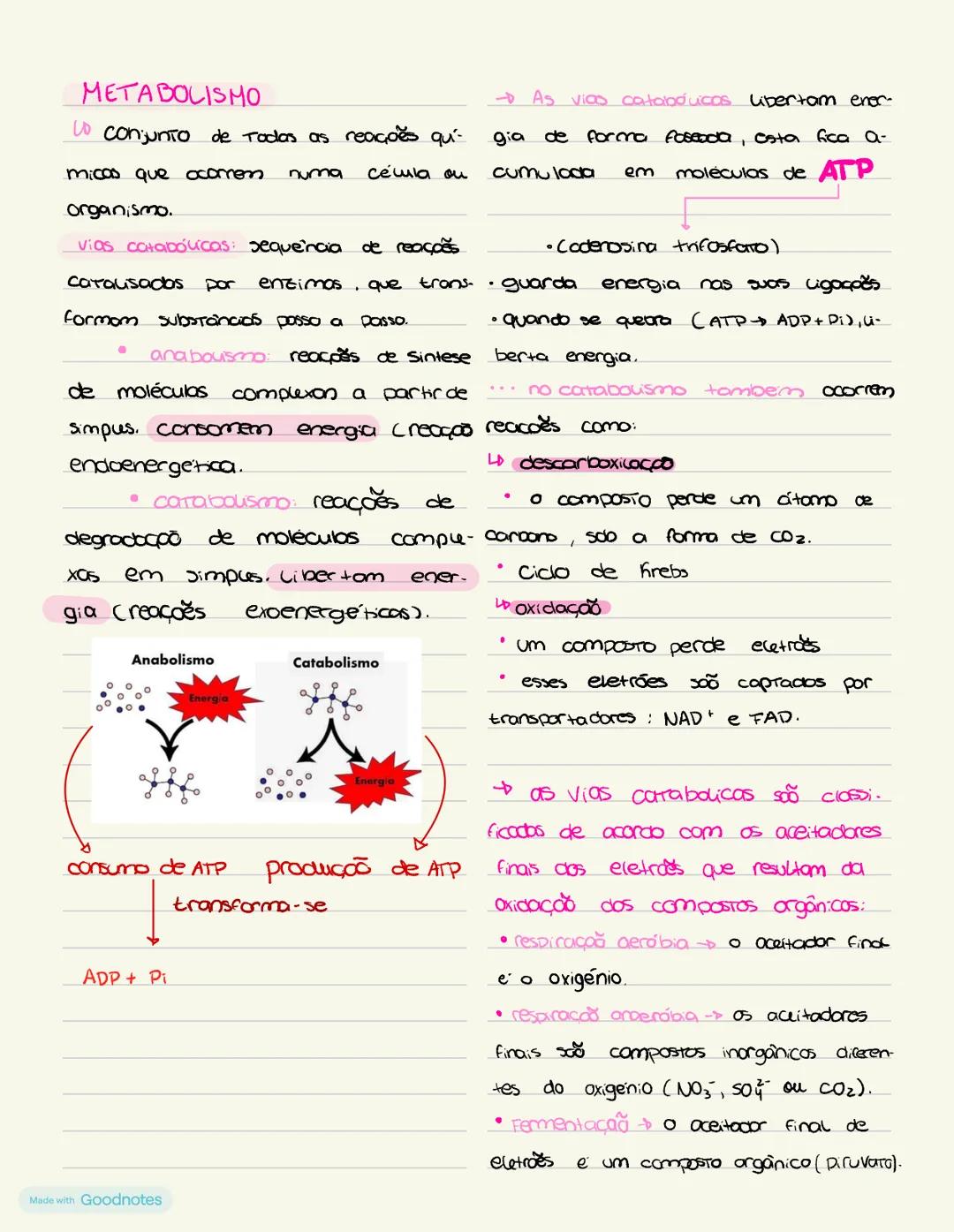 METABOLISMO
Lo conjunto de todas as reações químicas que ocorrem numa célula ou organismo.
vias catabólicas: sequência de reações catalisa
