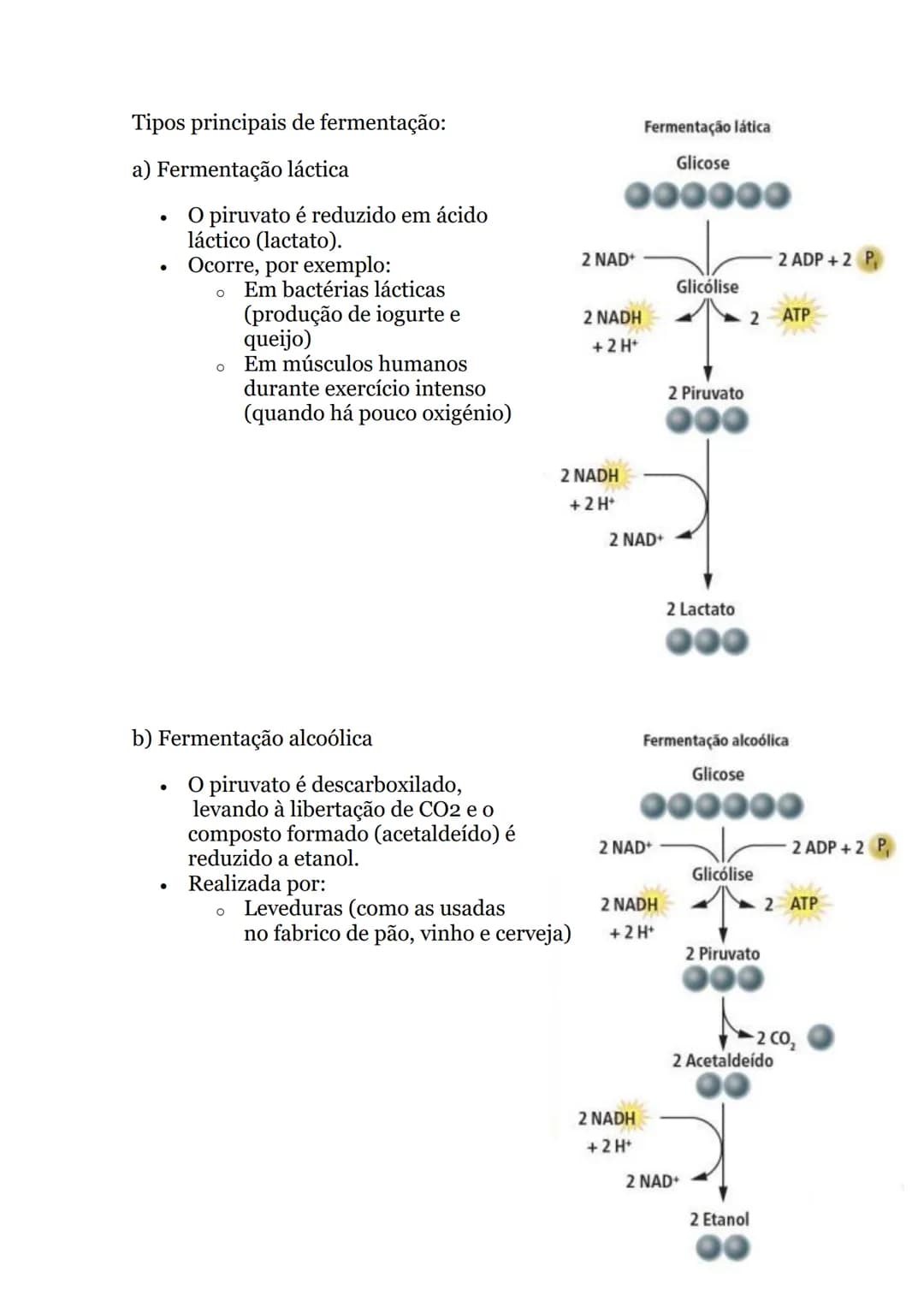 # Obtenção de energia
1. Anabolismo e catabolismo
Uma via metabólica é uma sequência de reações químicas que ocorrem dentro das células, e
