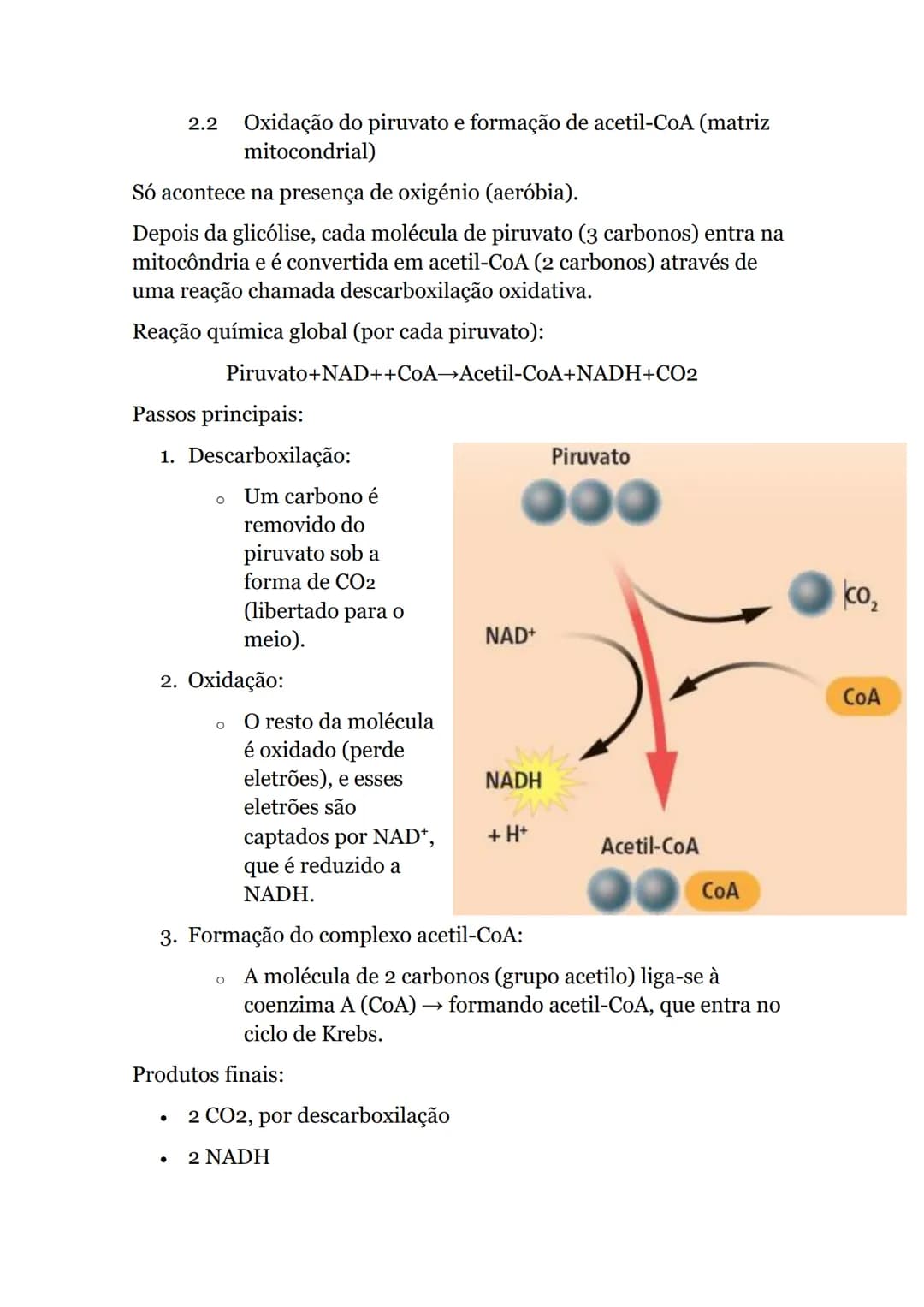 # Obtenção de energia
1. Anabolismo e catabolismo
Uma via metabólica é uma sequência de reações químicas que ocorrem dentro das células, e
