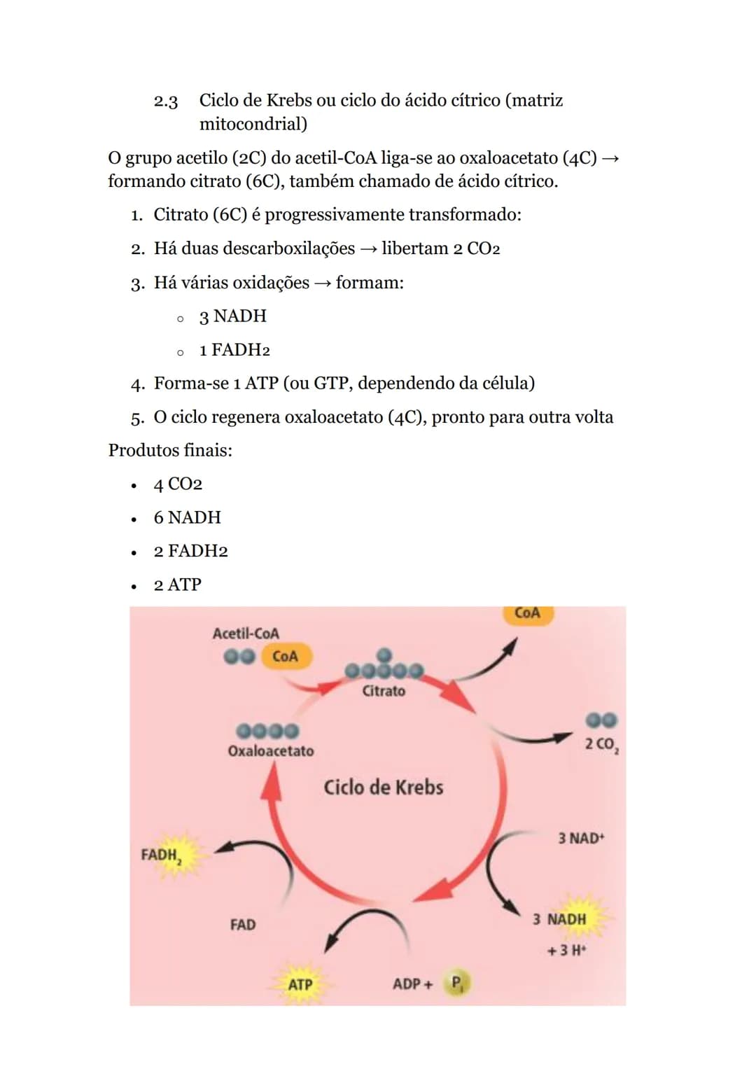 # Obtenção de energia
1. Anabolismo e catabolismo
Uma via metabólica é uma sequência de reações químicas que ocorrem dentro das células, e