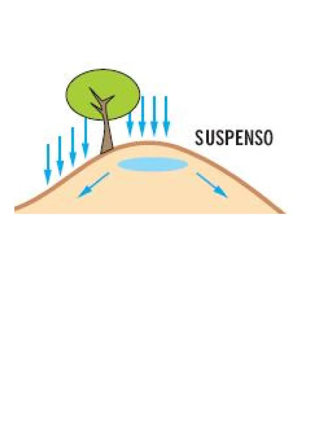 TEMA 2
1-
Os recursos existentes no subsolo são explorados através da indústria extrativa e constituem,
regra geral, matérias-primas para a