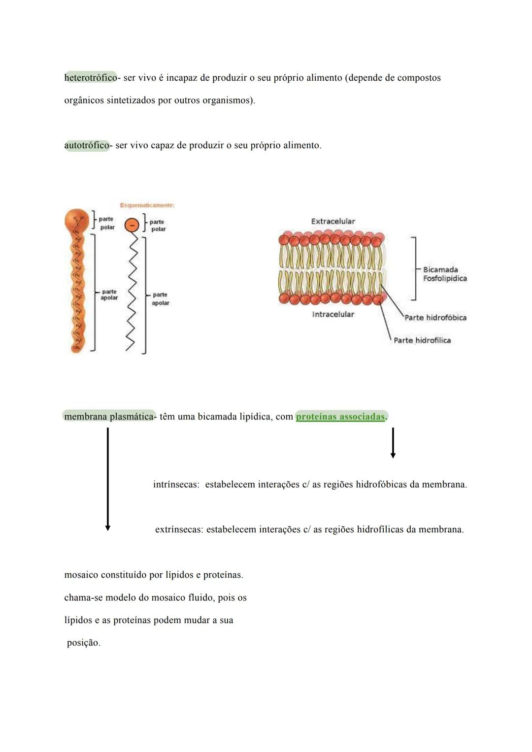 # Geologia
10º e 11º
ano a terra é considerado um sistema fechado
É estudado como um sistema composto por substâncias
interdependentes (a p