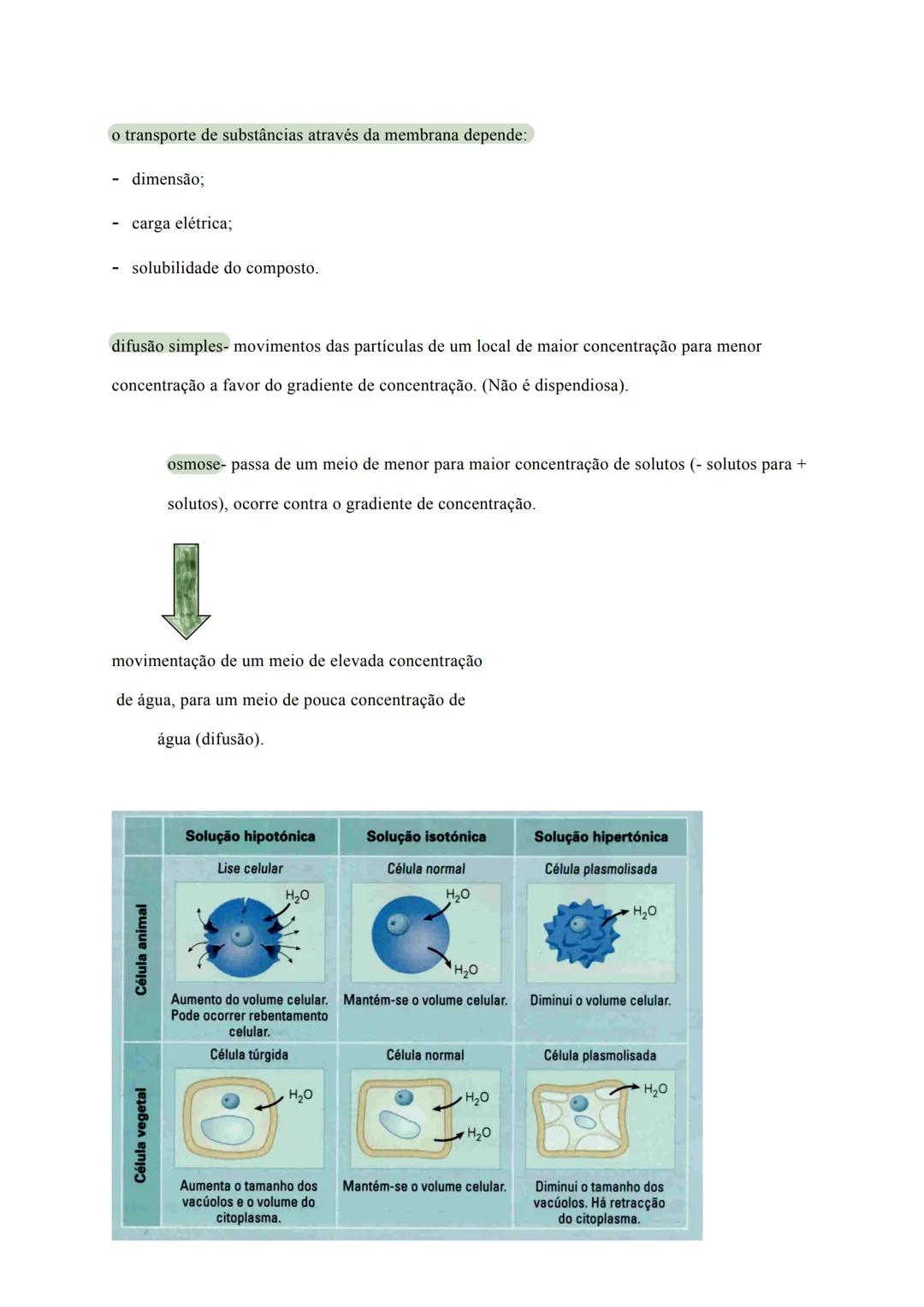 # Geologia
10º e 11º
ano a terra é considerado um sistema fechado
É estudado como um sistema composto por substâncias
interdependentes (a p