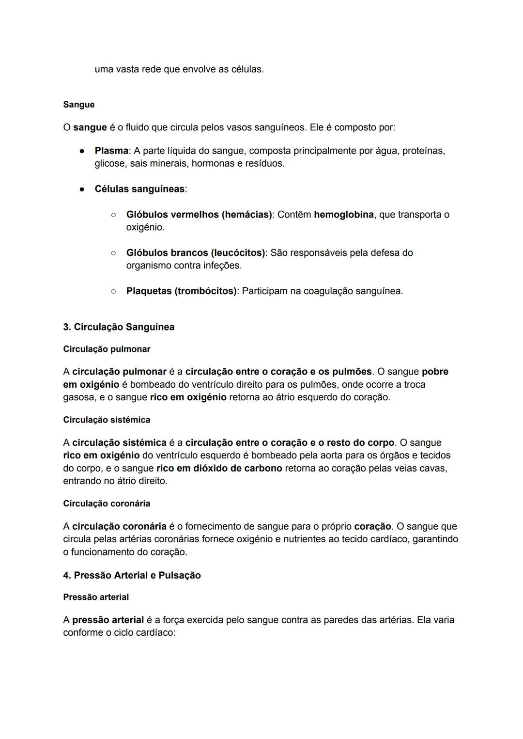 Resumo Longo 18 - Sistema Circulatório
1. Introdução ao Sistema Circulatório
O sistema circulatório é responsável por transportar substância