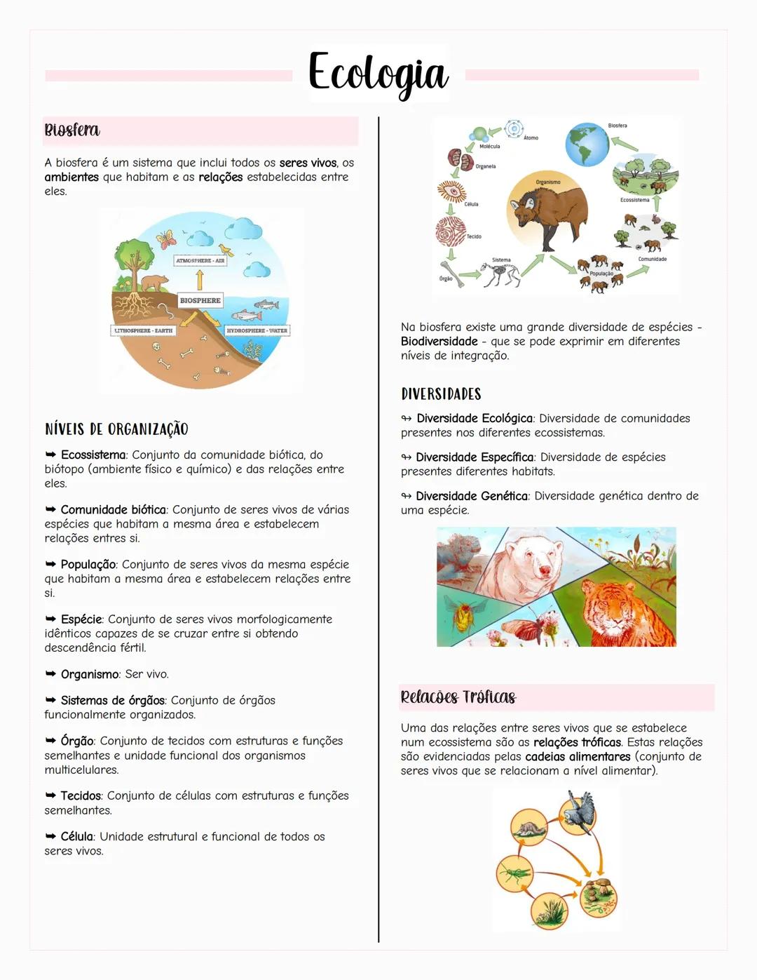 Ecologia
Biosfera
A biosfera é um sistema que inclui todos os seres vivos, os
ambientes que habitam e as relações estabelecidas entre
eles.