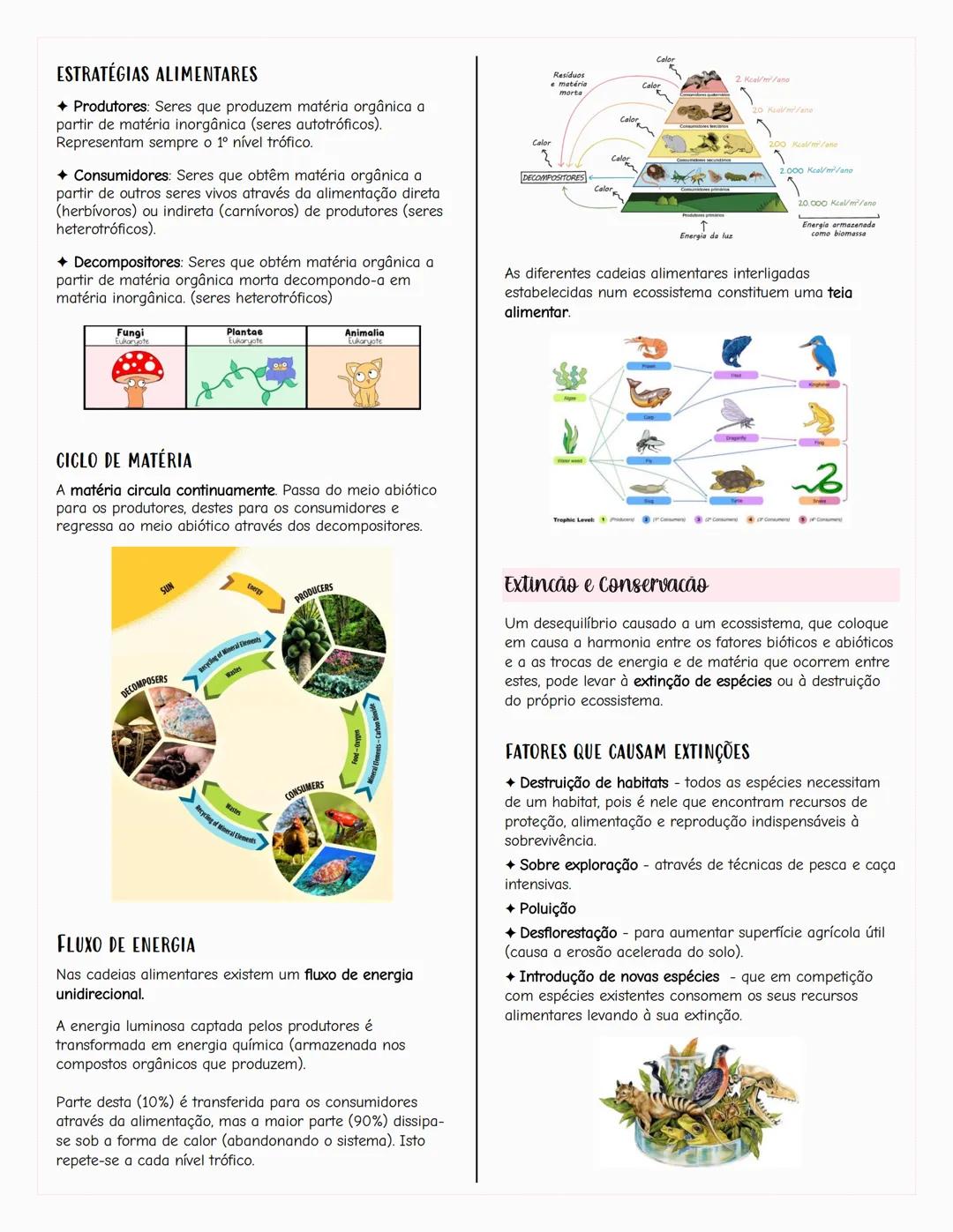 Ecologia
Biosfera
A biosfera é um sistema que inclui todos os seres vivos, os
ambientes que habitam e as relações estabelecidas entre
eles.