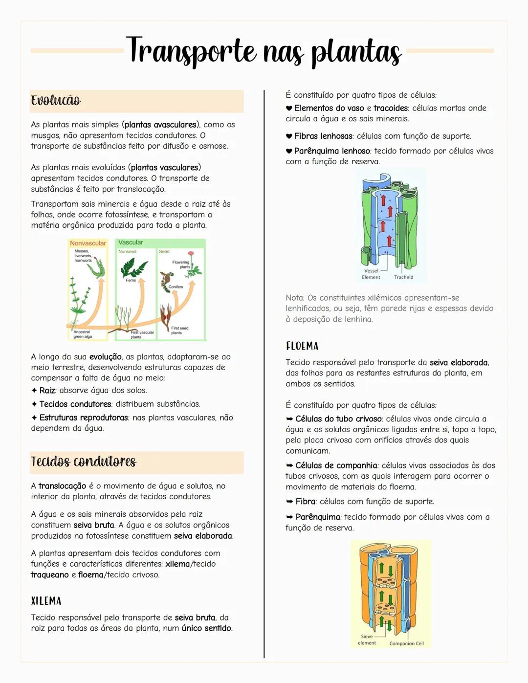 Ecologia
Biosfera
A biosfera é um sistema que inclui todos os seres vivos, os
ambientes que habitam e as relações estabelecidas entre
eles.