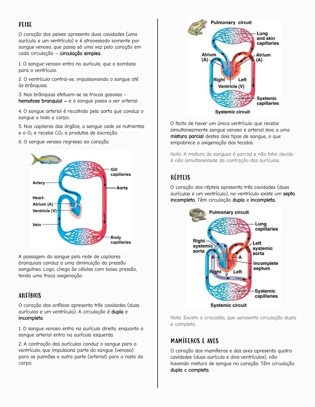 Ecologia
Biosfera
A biosfera é um sistema que inclui todos os seres vivos, os
ambientes que habitam e as relações estabelecidas entre
eles.