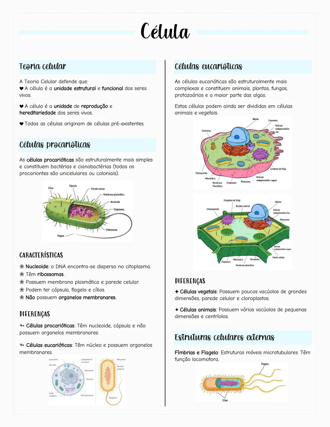 Ecologia
Biosfera
A biosfera é um sistema que inclui todos os seres vivos, os
ambientes que habitam e as relações estabelecidas entre
eles.
