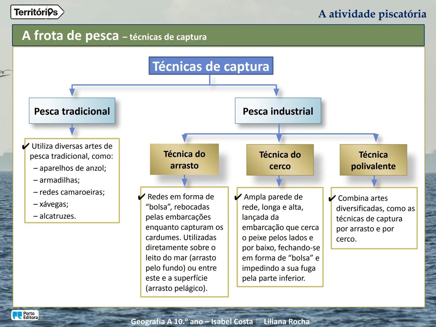 A atividade piscatória
Porto
Editora
Geografia A 10.º ano - Isabel Costa Liliana Rocha
Territórios Territórios
Enquadramento temático
4