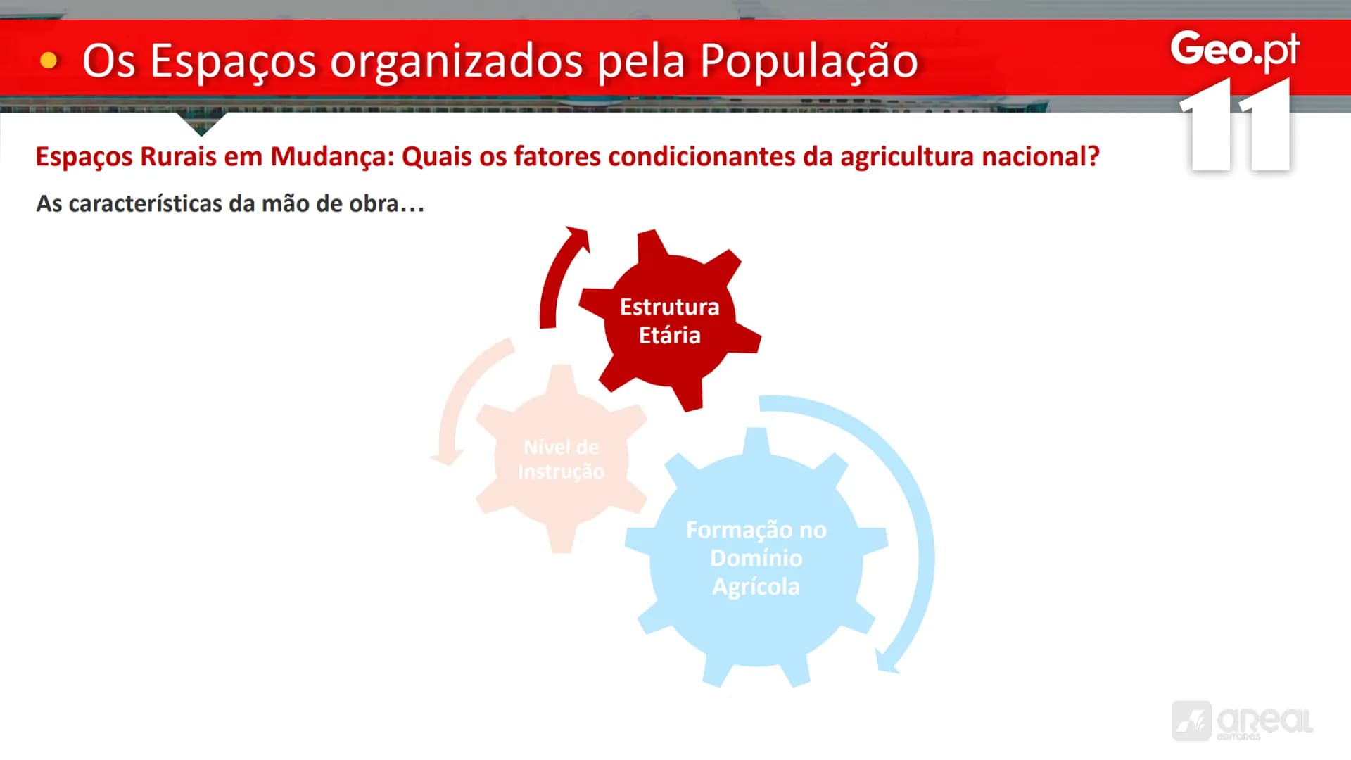 # Geo.pt
# 11
## Os Espaços organizados pela População
As Características da Agricultura Portuguesa
# • Os Espaços organizados pela P