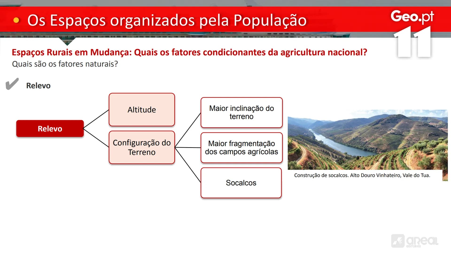 # Geo.pt
# 11
## Os Espaços organizados pela População
As Características da Agricultura Portuguesa
# • Os Espaços organizados pela P