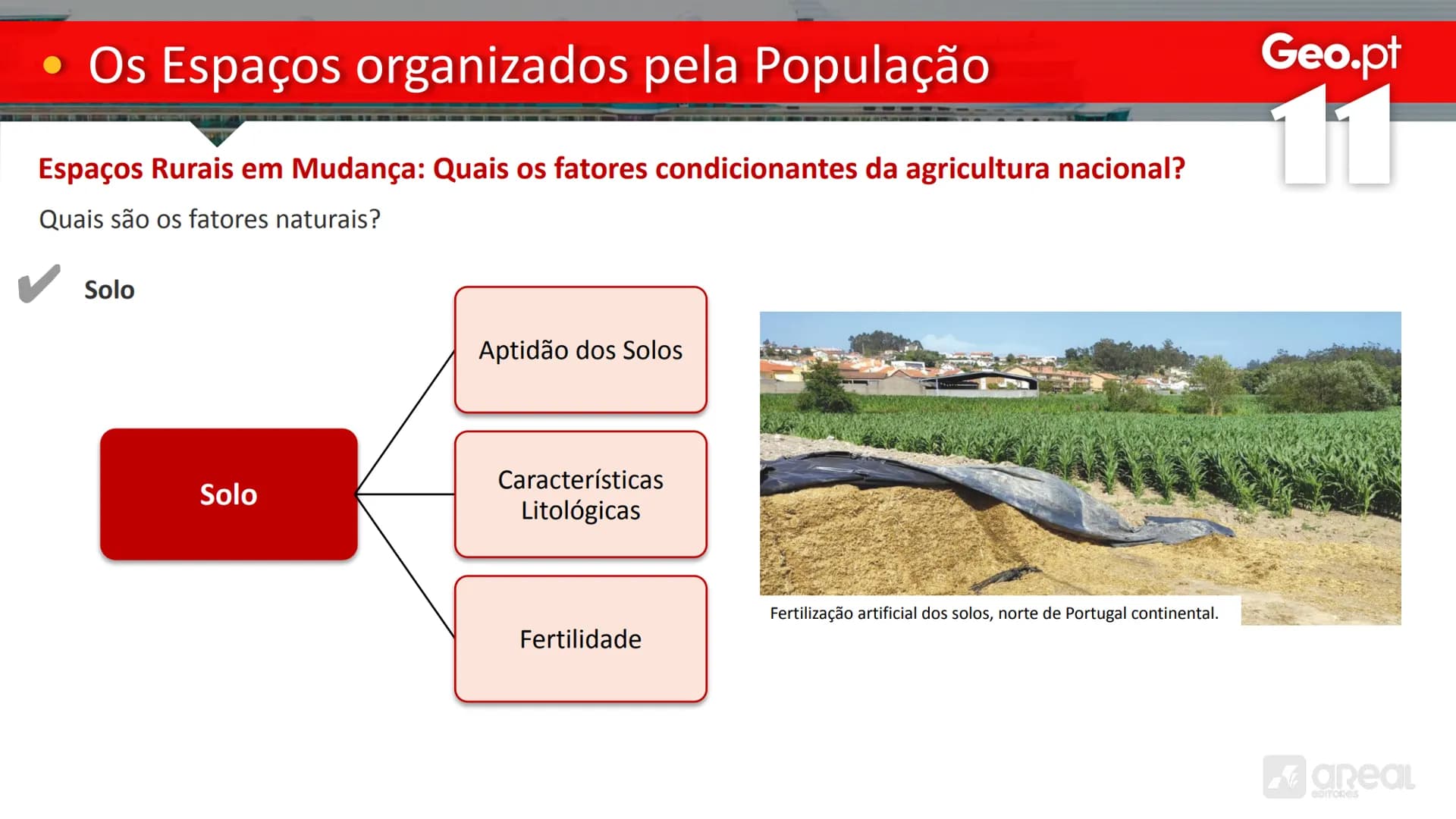 # Geo.pt
# 11
## Os Espaços organizados pela População
As Características da Agricultura Portuguesa
# • Os Espaços organizados pela P