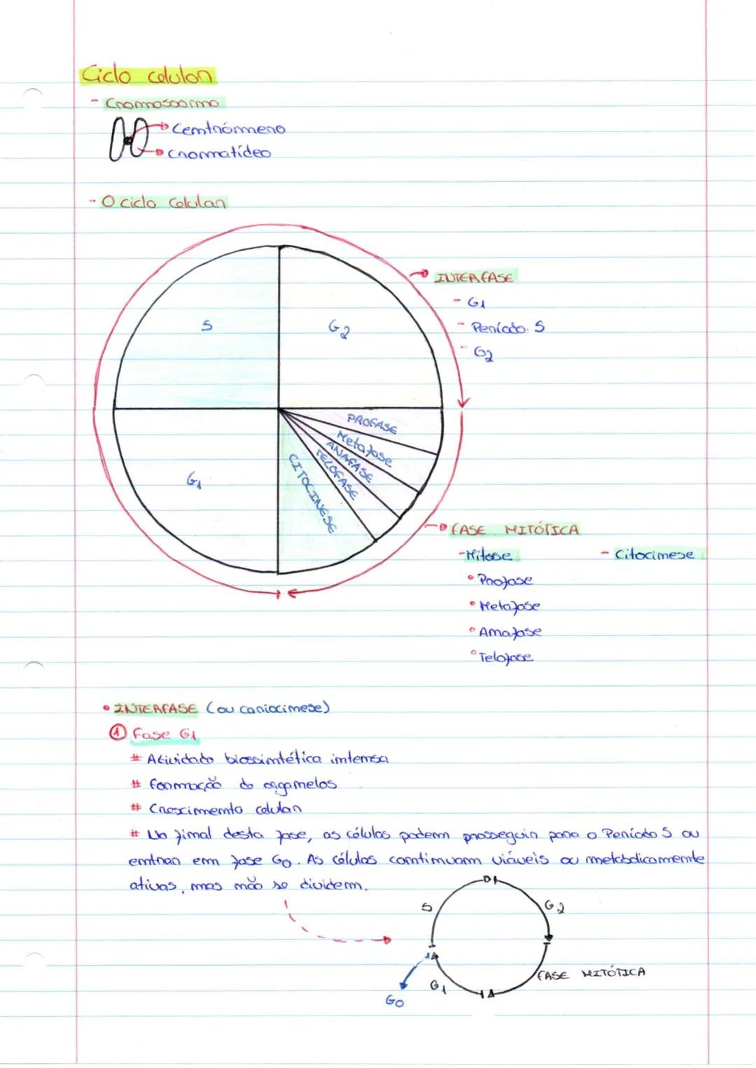 Altenações do matenial gemético (mutações)
* Uma mutação é uma alteração ma cadeia mucleótidico do DNA.
Hutação silenciosa.
-Quando um mucl