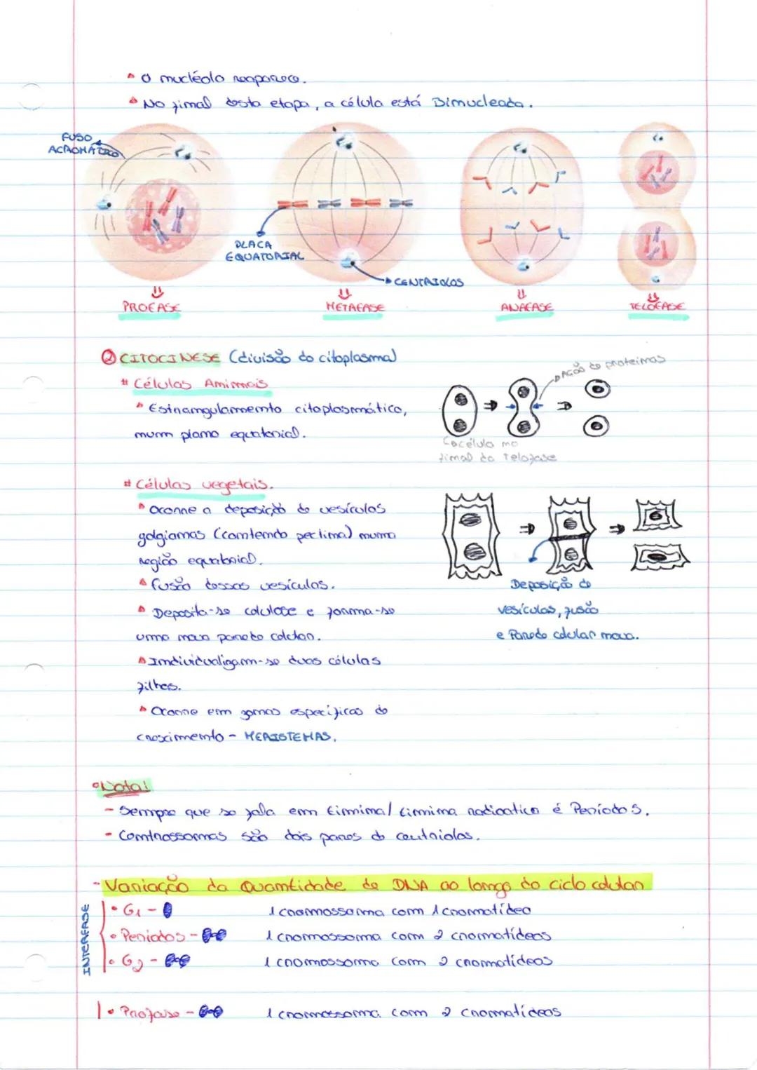 Altenações do matenial gemético (mutações)
* Uma mutação é uma alteração ma cadeia mucleótidico do DNA.
Hutação silenciosa.
-Quando um mucl