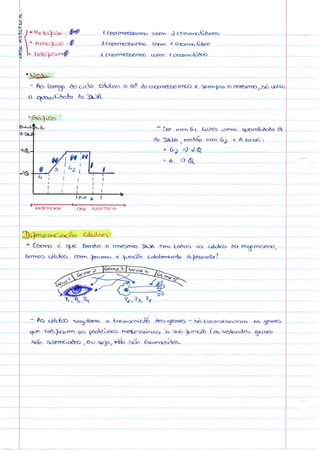Altenações do matenial gemético (mutações)
* Uma mutação é uma alteração ma cadeia mucleótidico do DNA.
Hutação silenciosa.
-Quando um mucl