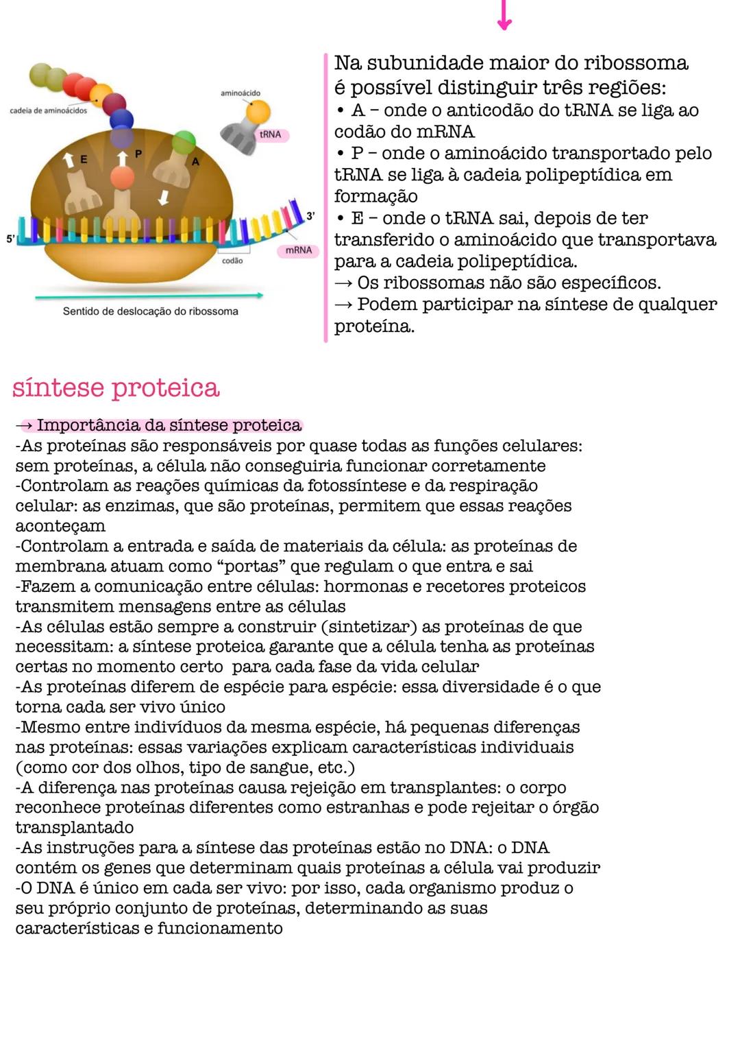 # Biologia # célula
células procarióticas célula simples, sem núcleo organizado, sem a maioria
das estruturas celulares conhecidas.
são por
